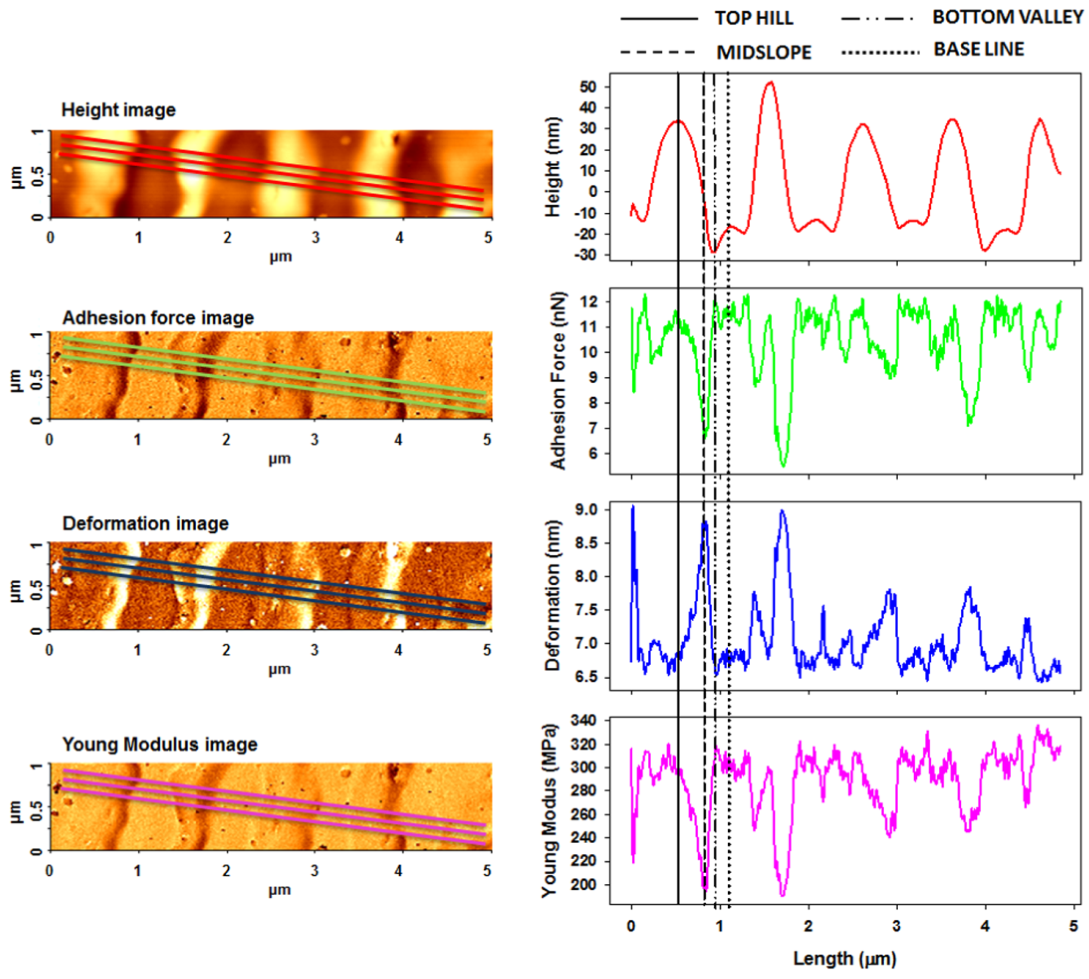 Nanomaterials 11 00812 g007 Nanomaterials 11 00812 g007