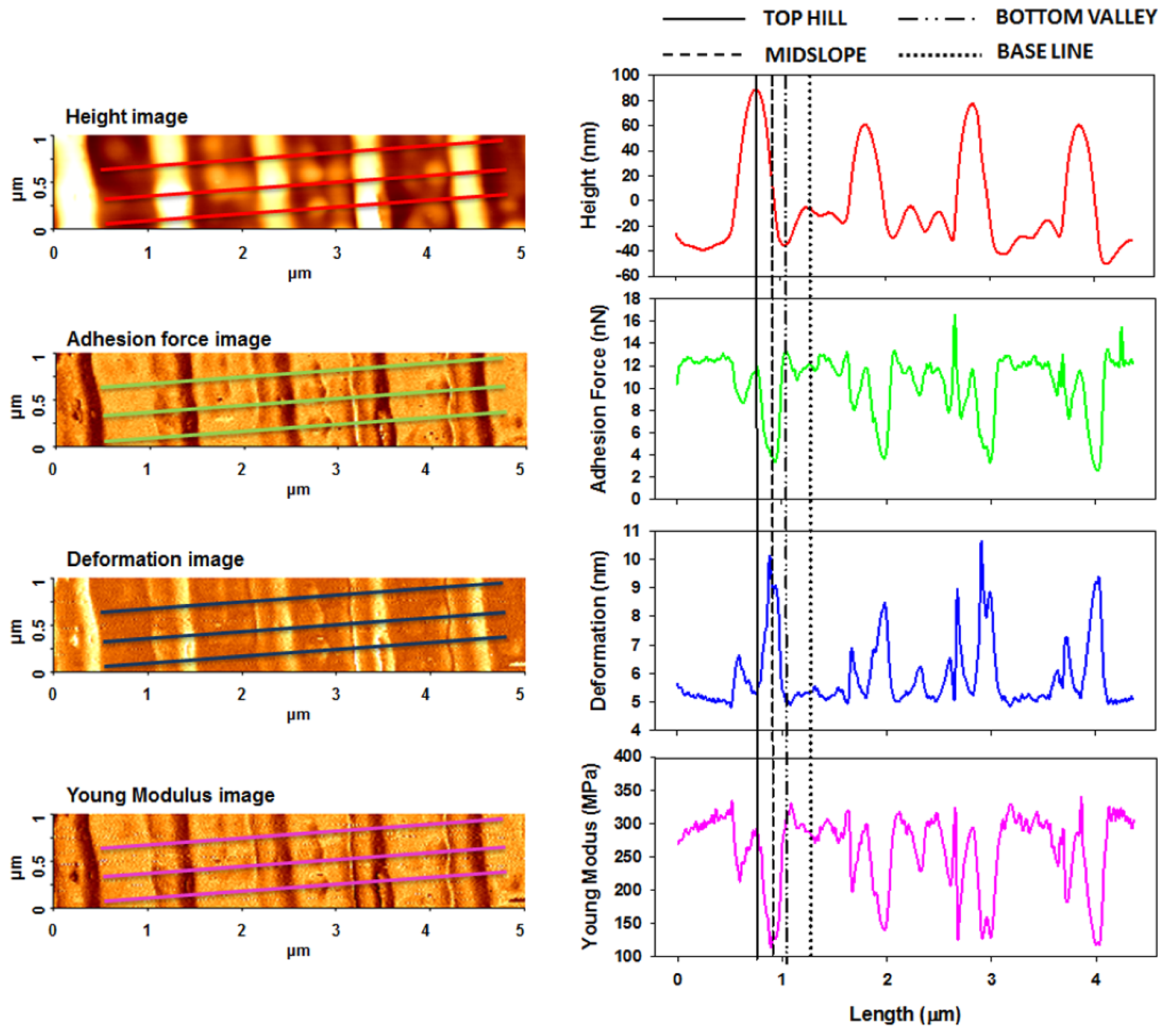 Nanomaterials 11 00812 g008 Nanomaterials 11 00812 g008