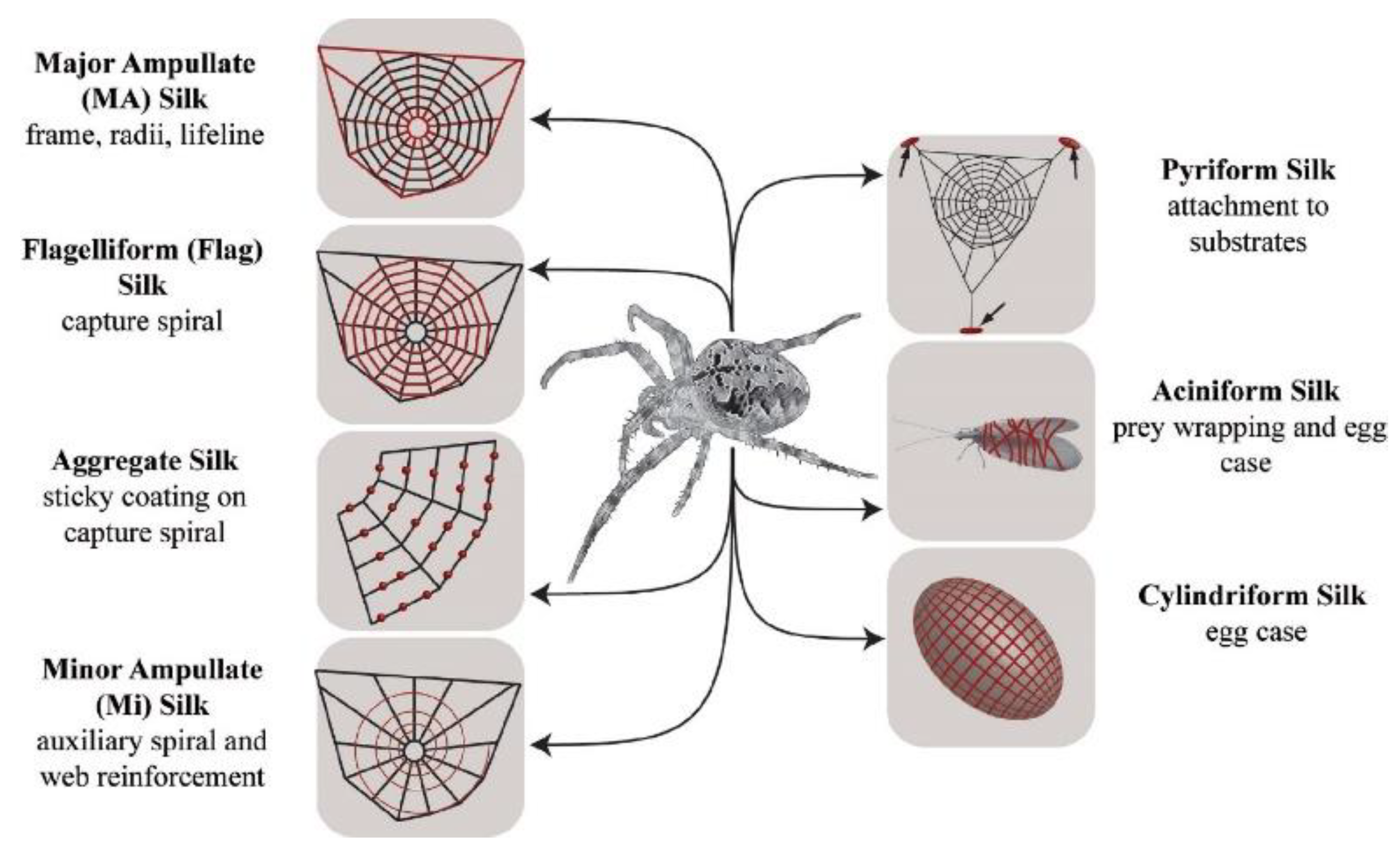Nanomaterials 11 00813 g004 Nanomaterials 11 00813 g004
