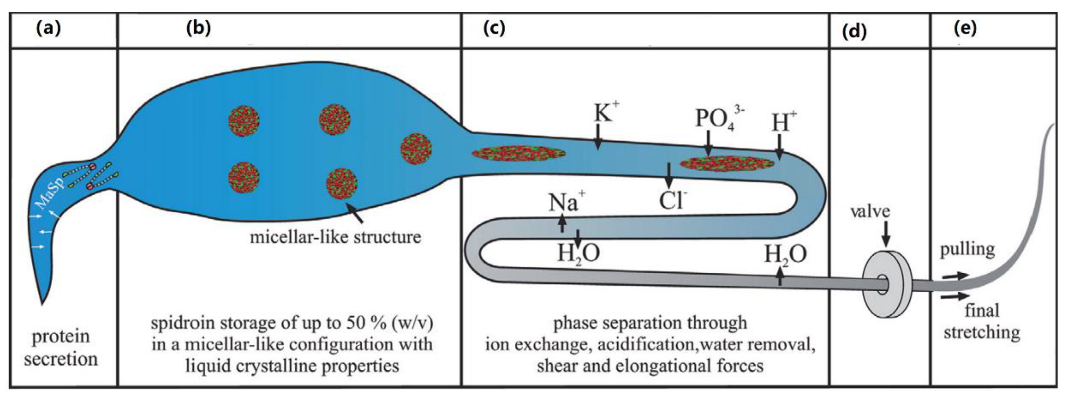 Nanomaterials 11 00813 g005 Nanomaterials 11 00813 g005