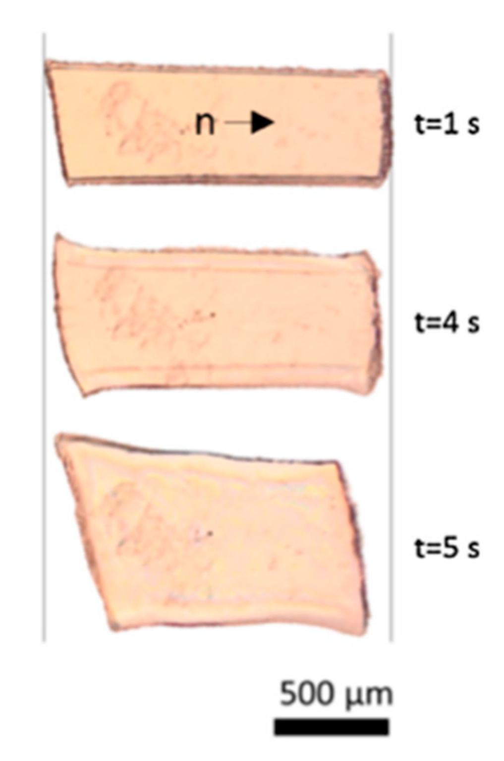 Nanomaterials 11 00813 g009 Nanomaterials 11 00813 g009