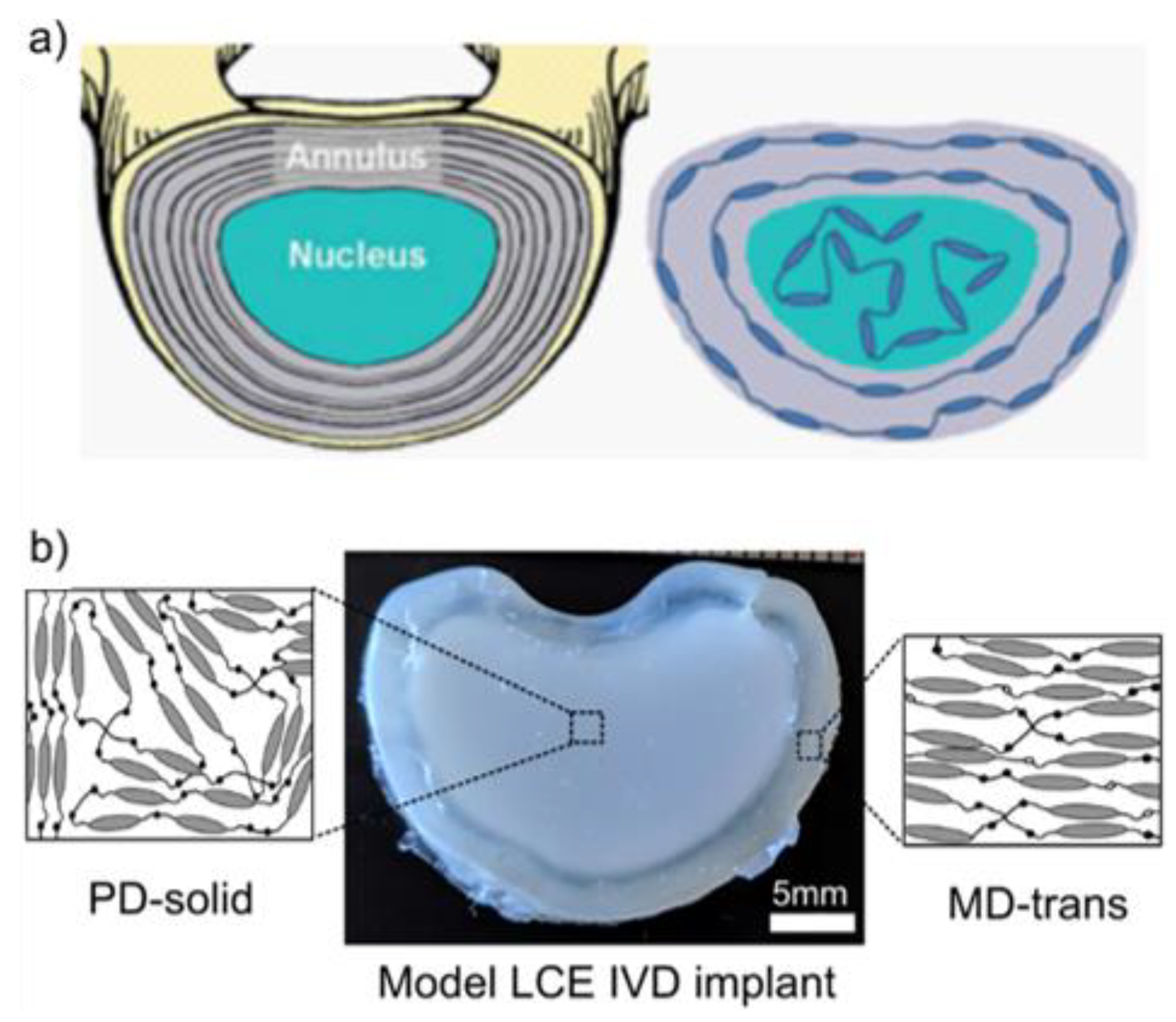Nanomaterials 11 00813 g010 Nanomaterials 11 00813 g010