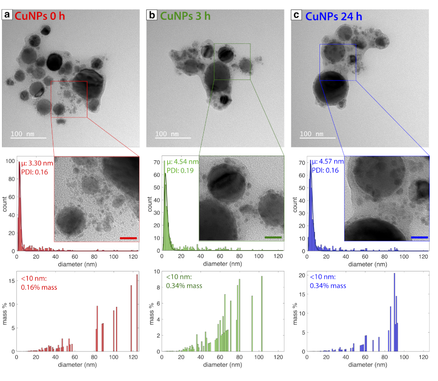 Nanomaterials 11 00814 g001