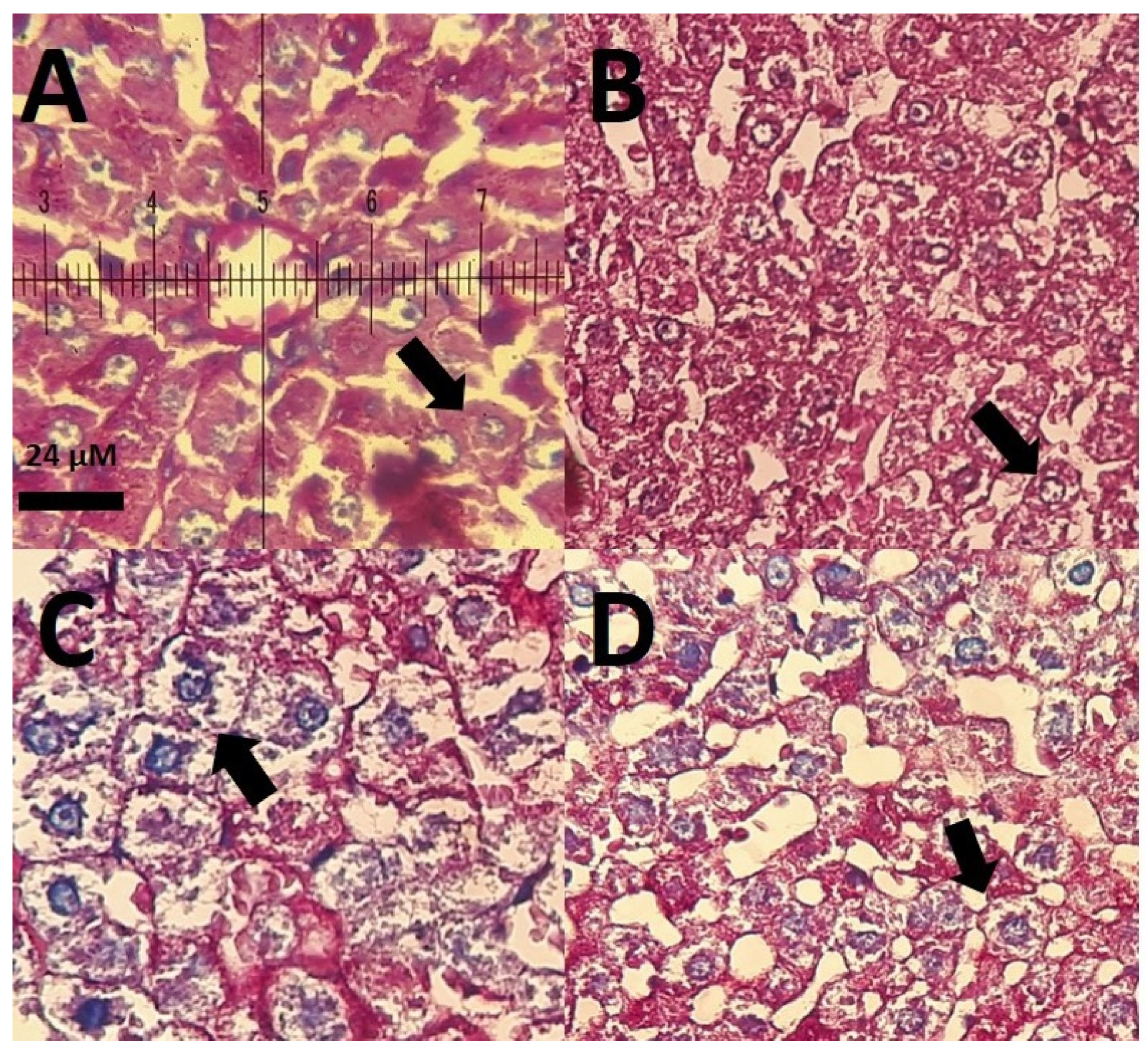 Nanomaterials 11 00817 g006 Nanomaterials 11 00817 g006