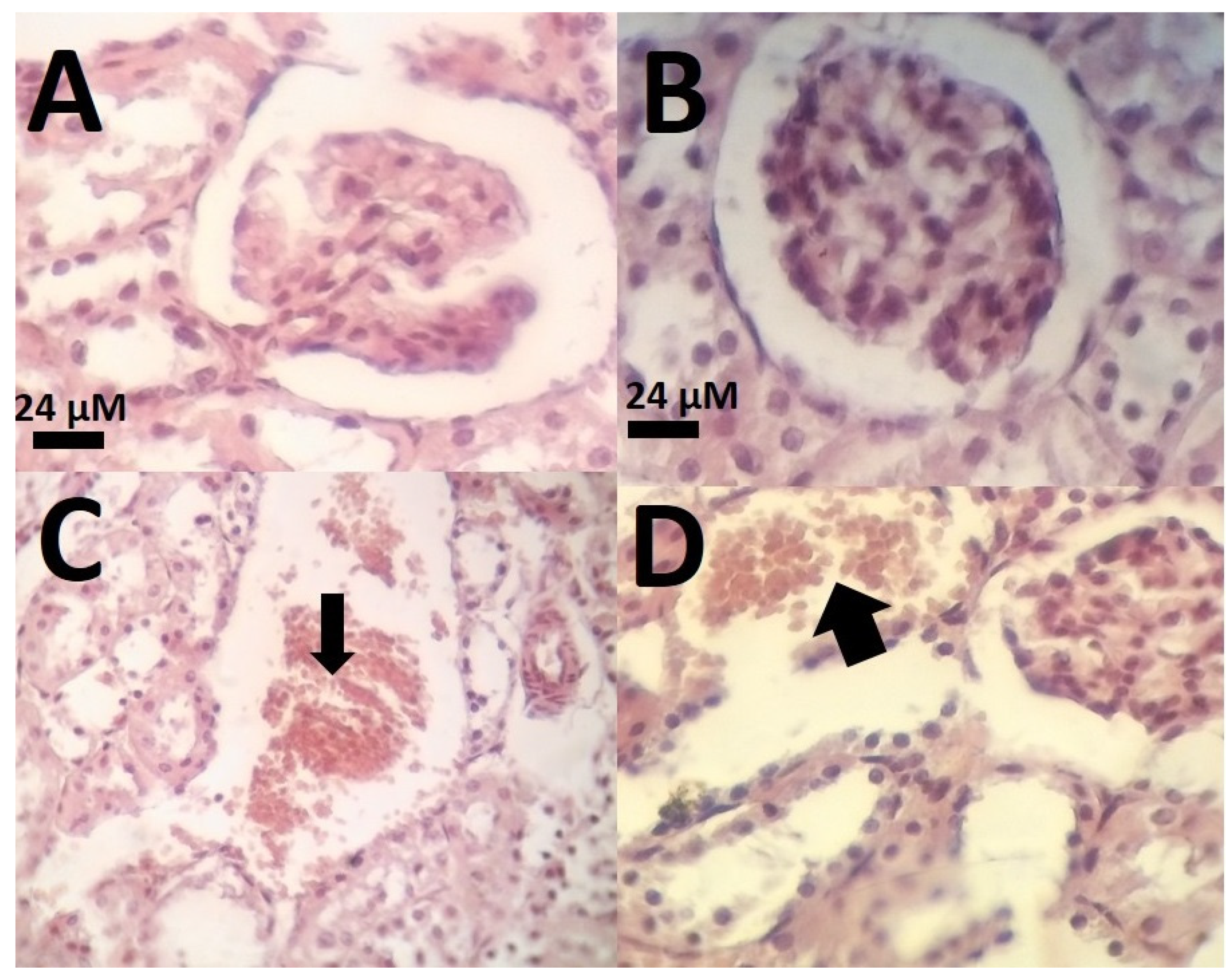 Nanomaterials 11 00817 g008 Nanomaterials 11 00817 g008