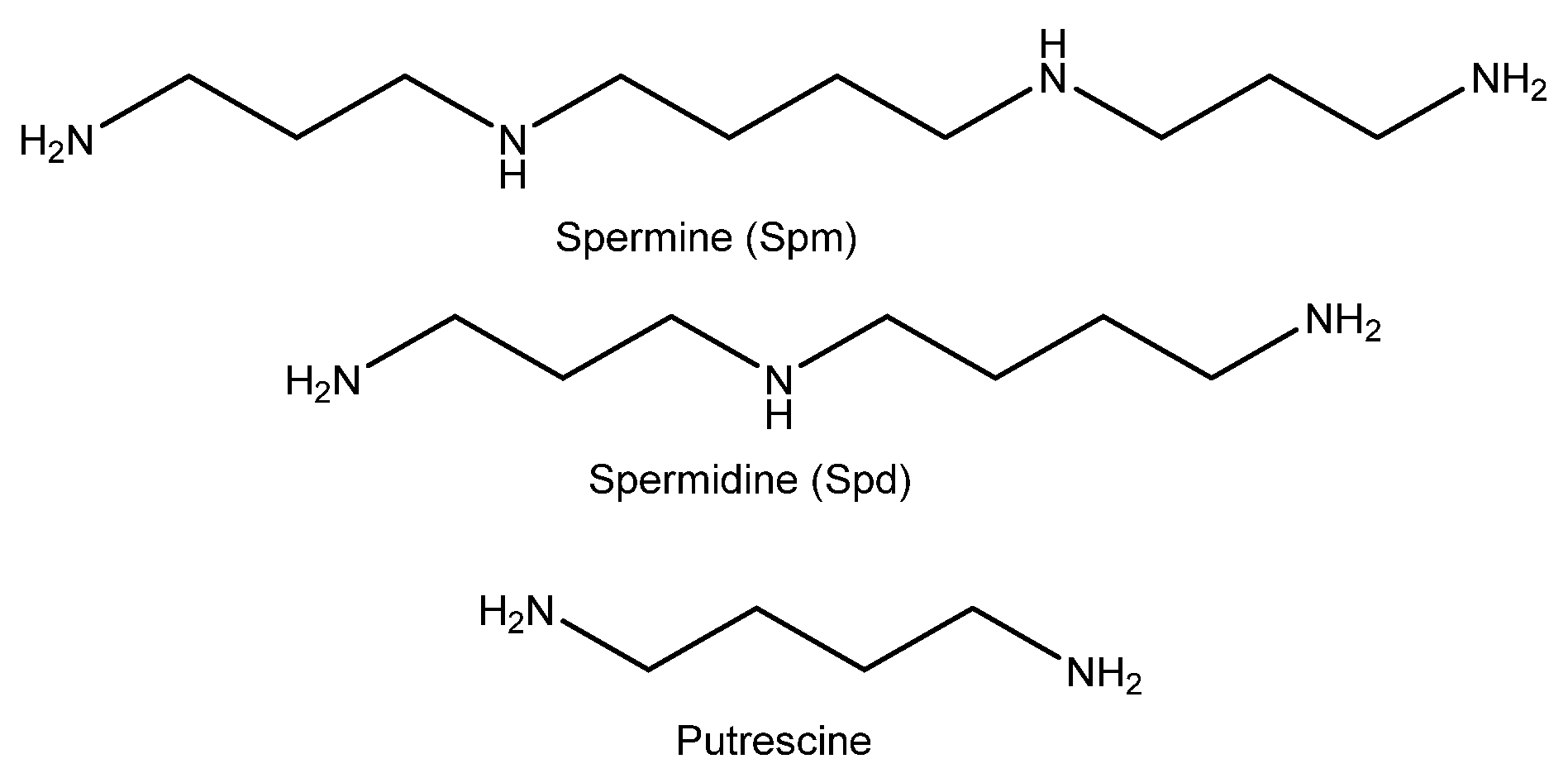 Nanomaterials 11 00818 g001 Nanomaterials 11 00818 g001