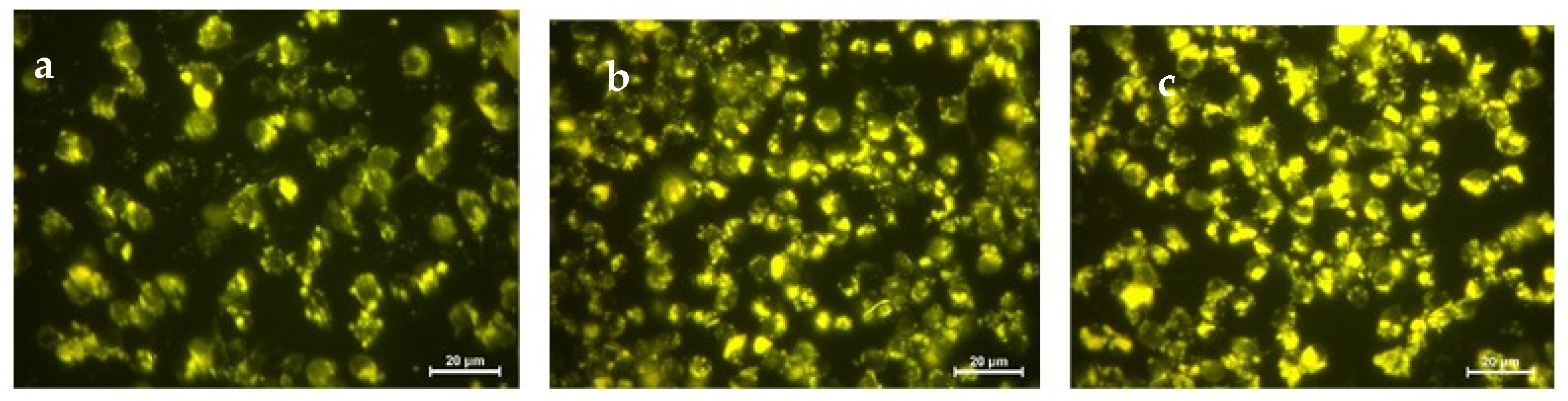 Nanomaterials 11 00818 g007 Nanomaterials 11 00818 g007
