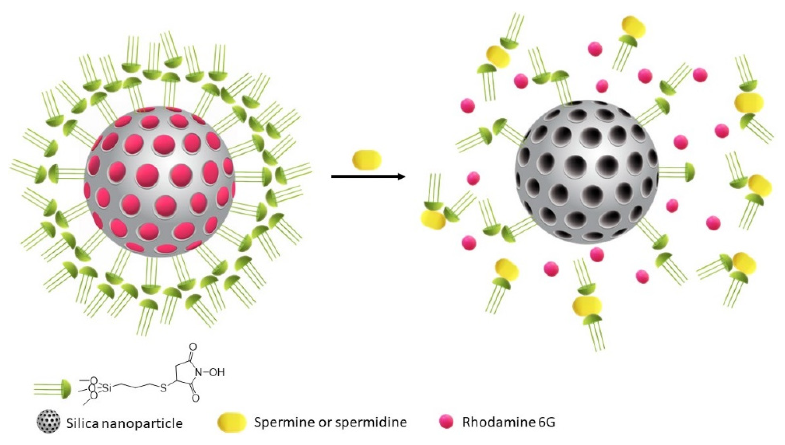 Nanomaterials 11 00818 sch001 Nanomaterials 11 00818 sch001