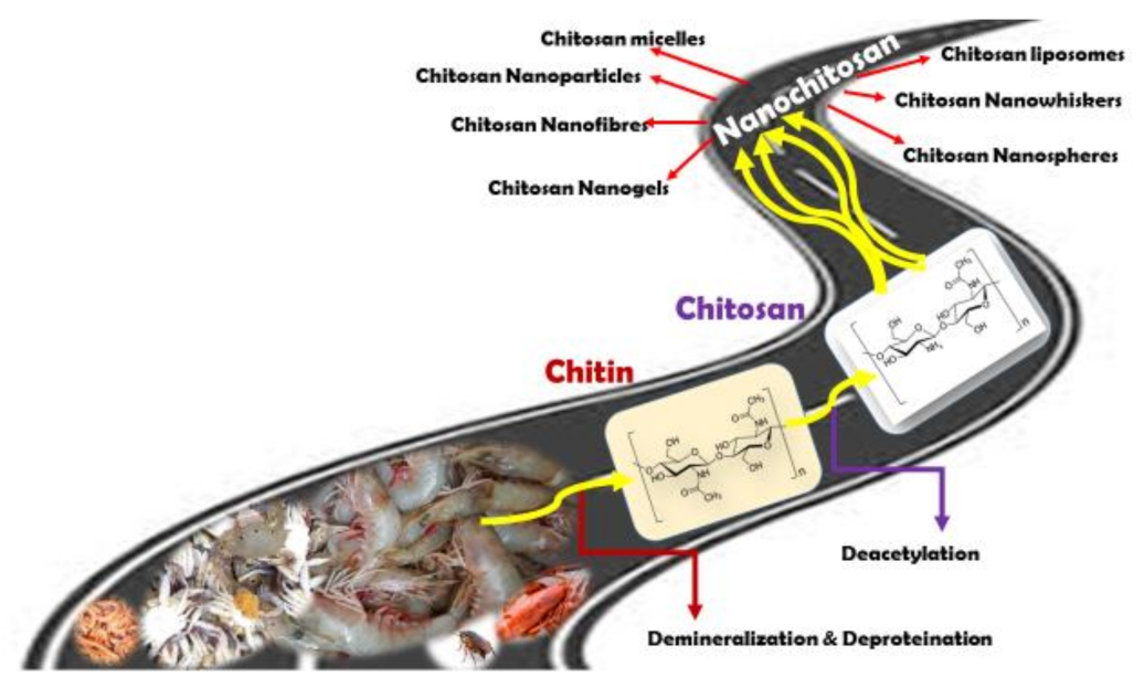 Nanomaterials 11 00821 g001