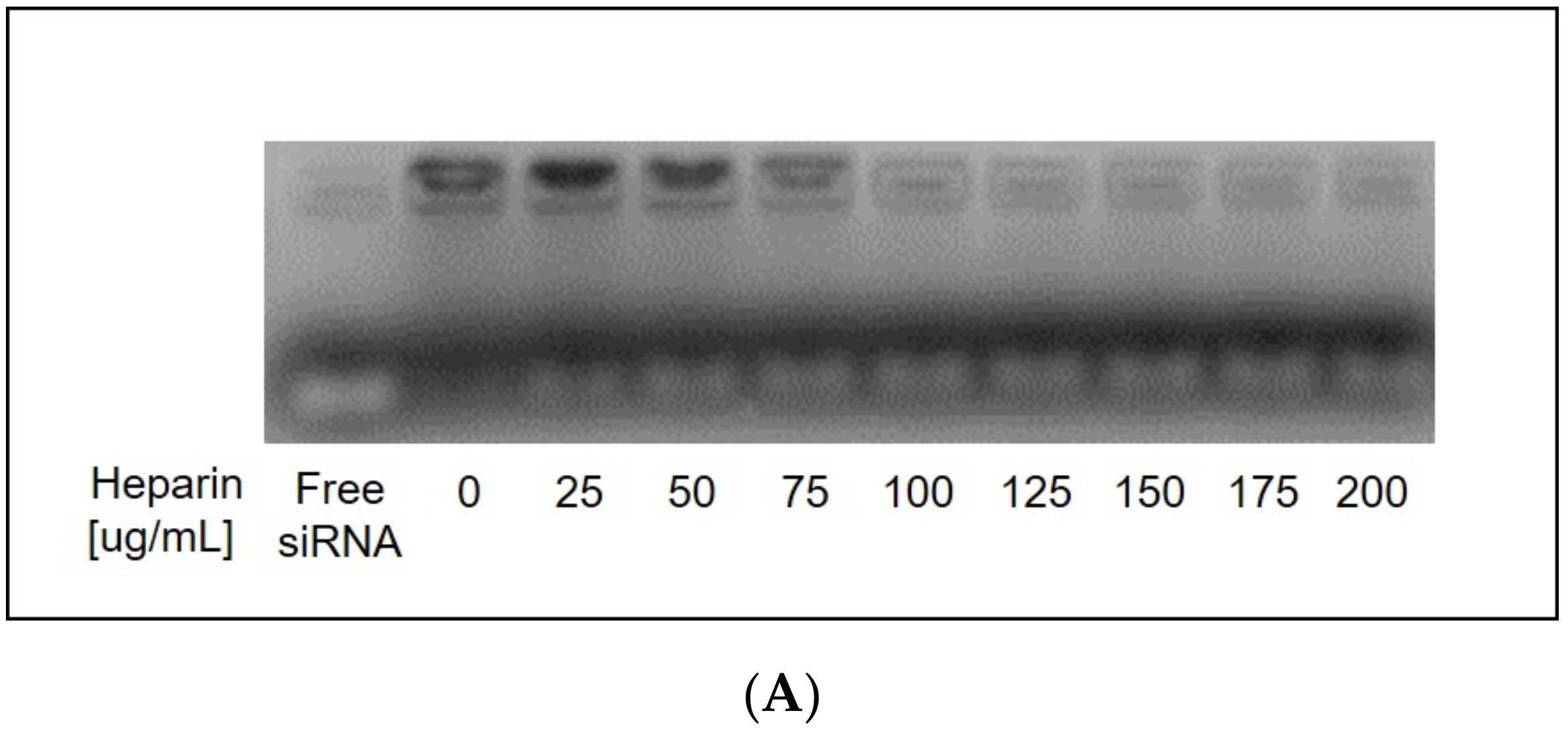 Nanomaterials 11 00825 g005a