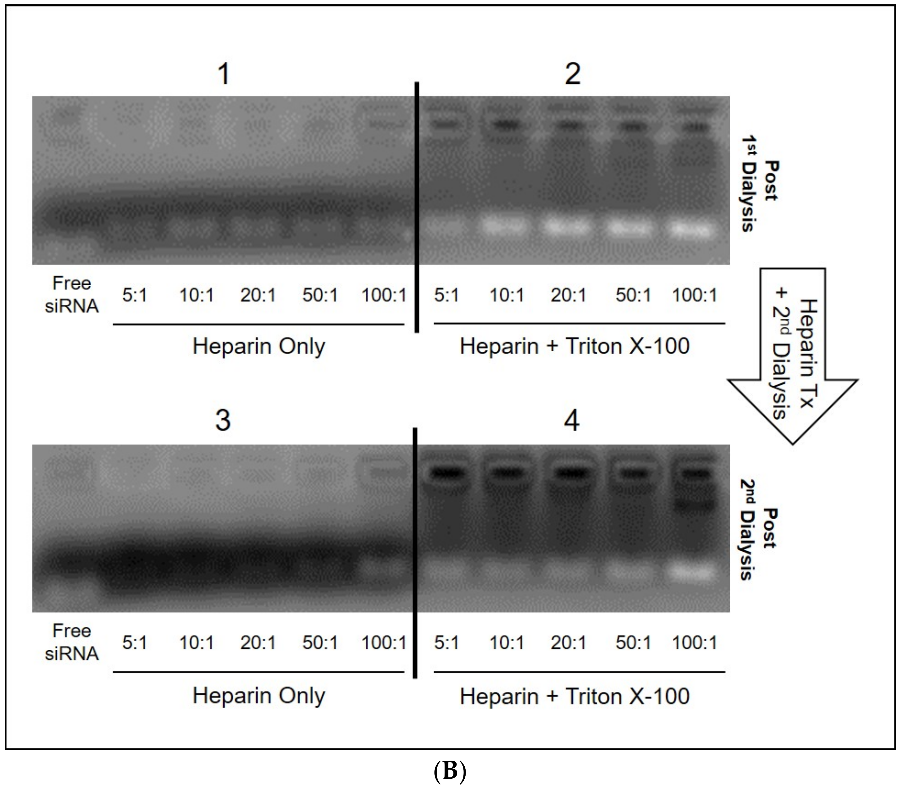 Nanomaterials 11 00825 g005b