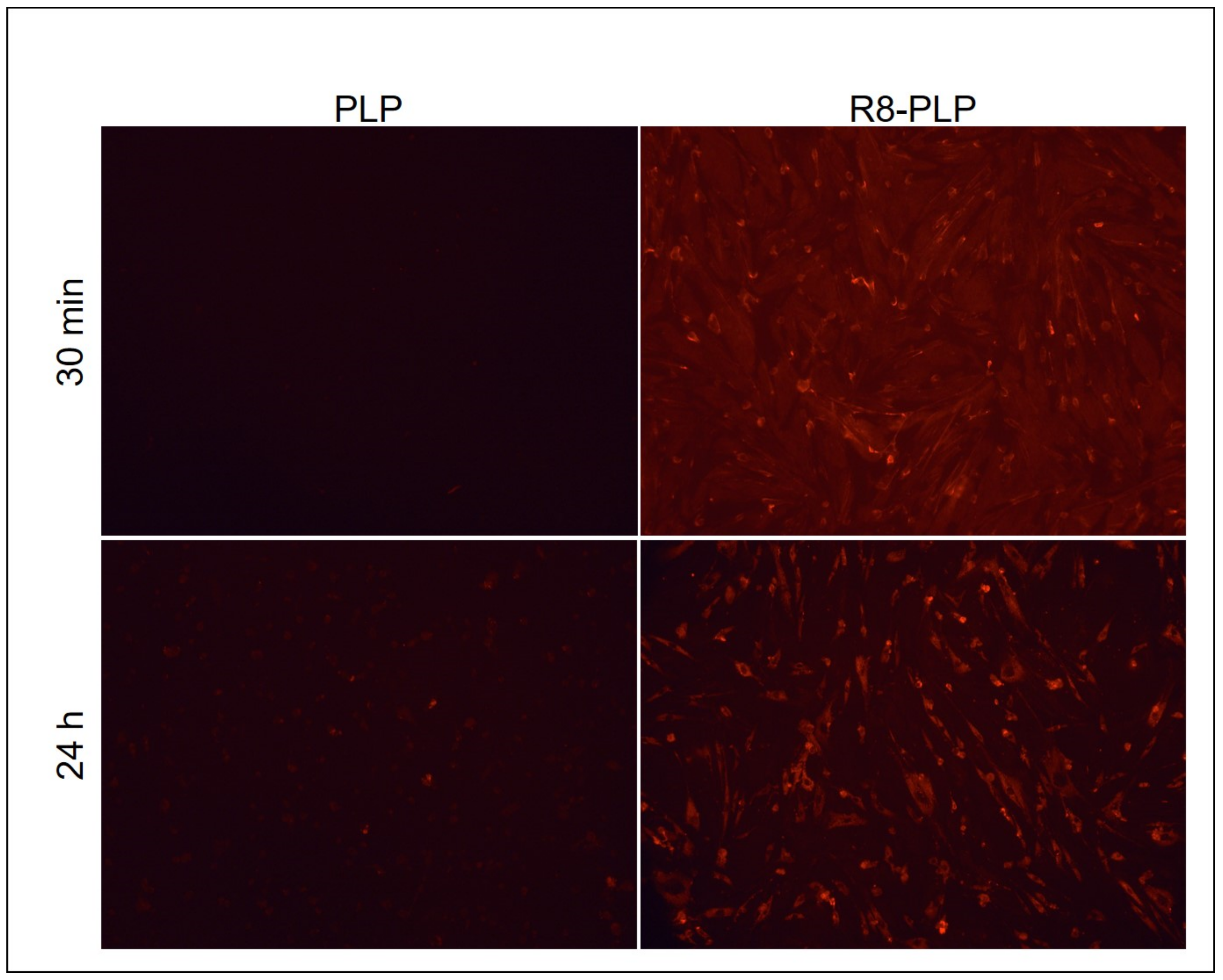 Nanomaterials 11 00825 g009