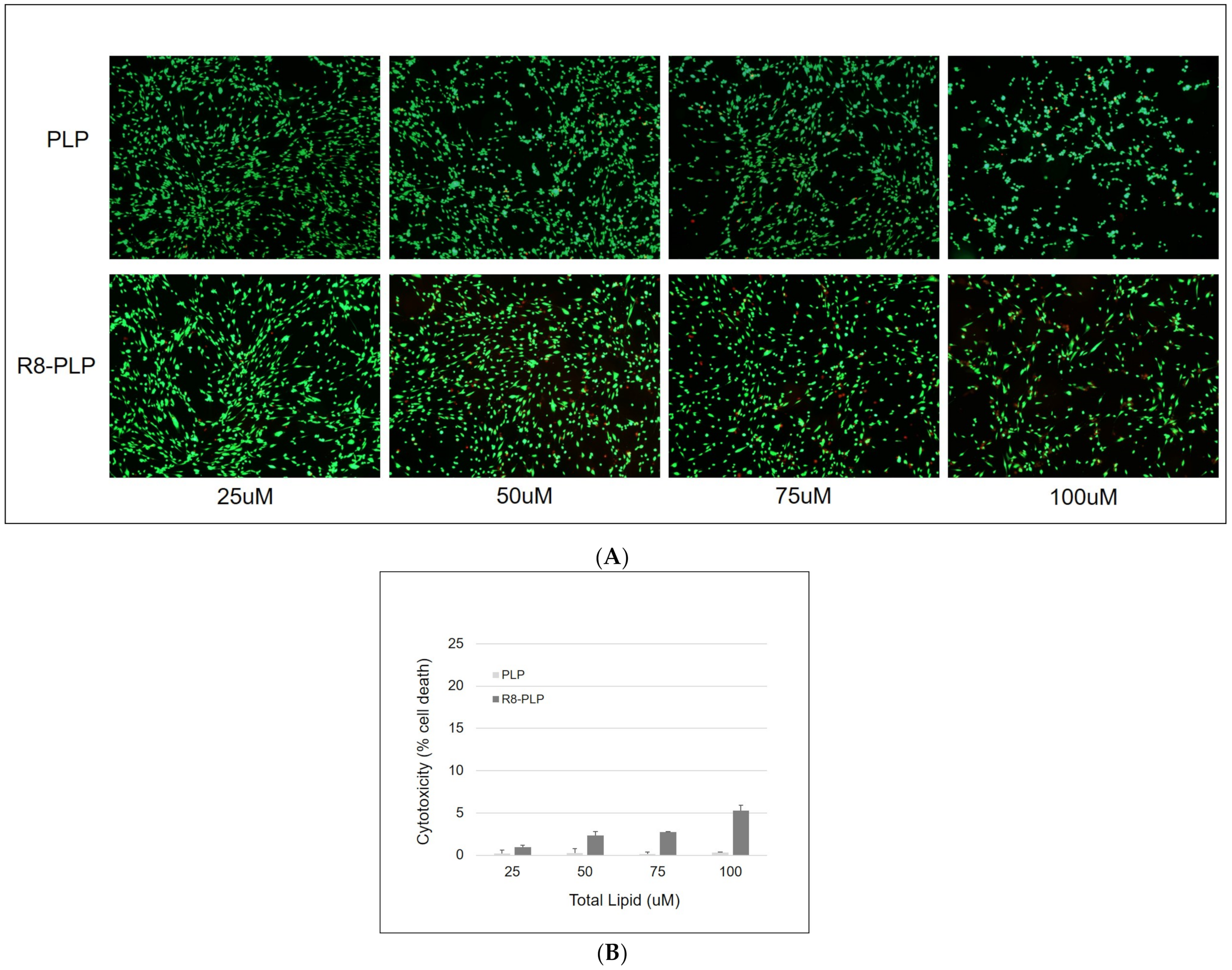 Nanomaterials 11 00825 g010