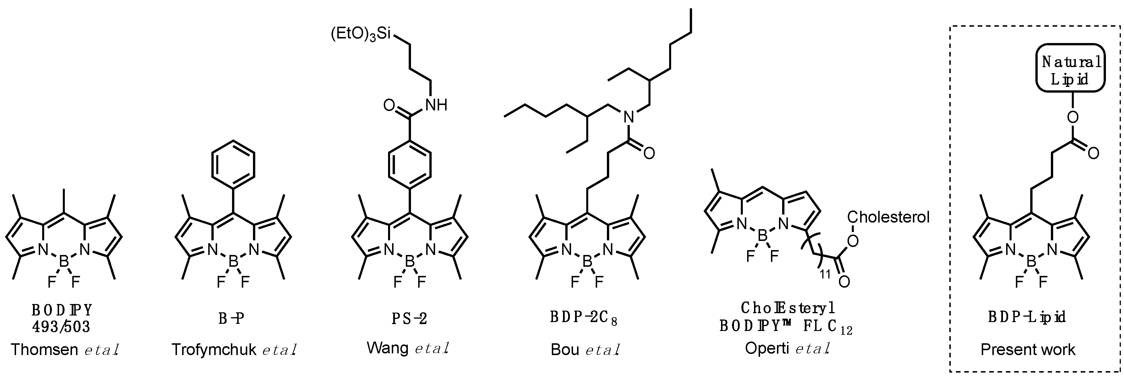 Nanomaterials 11 00826 g001