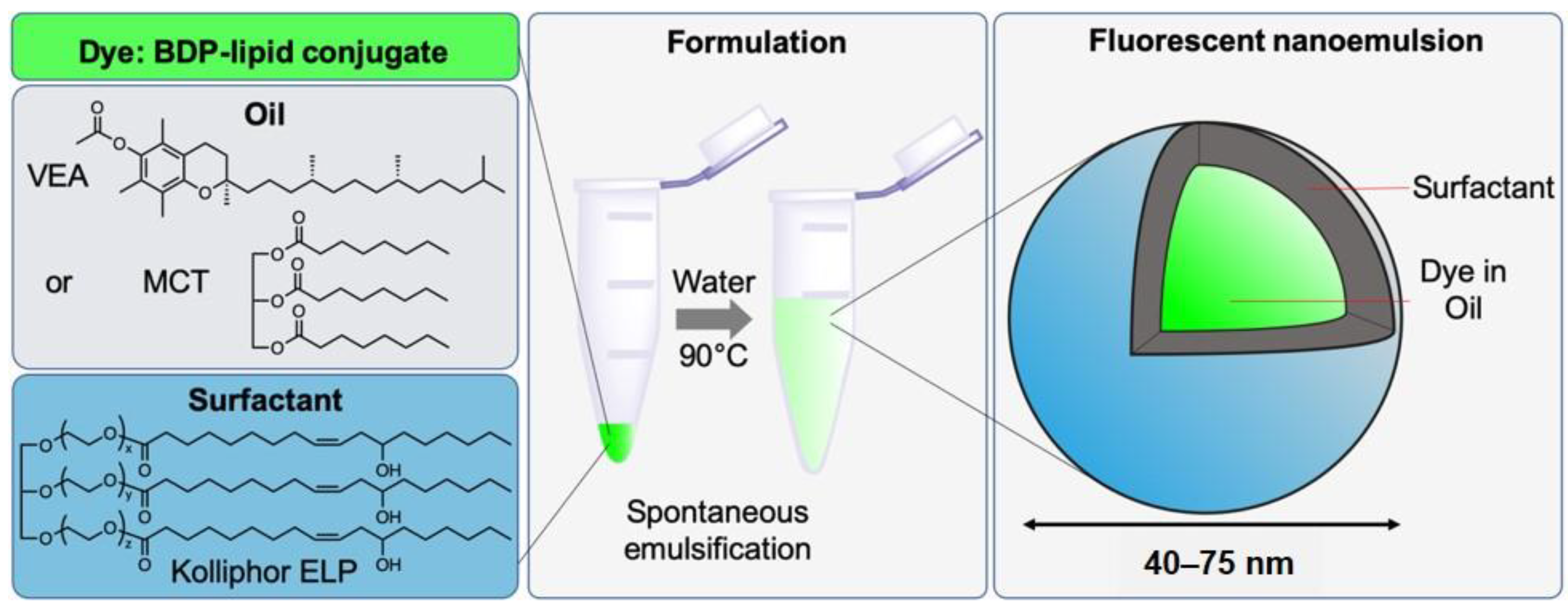 Nanomaterials 11 00826 g003