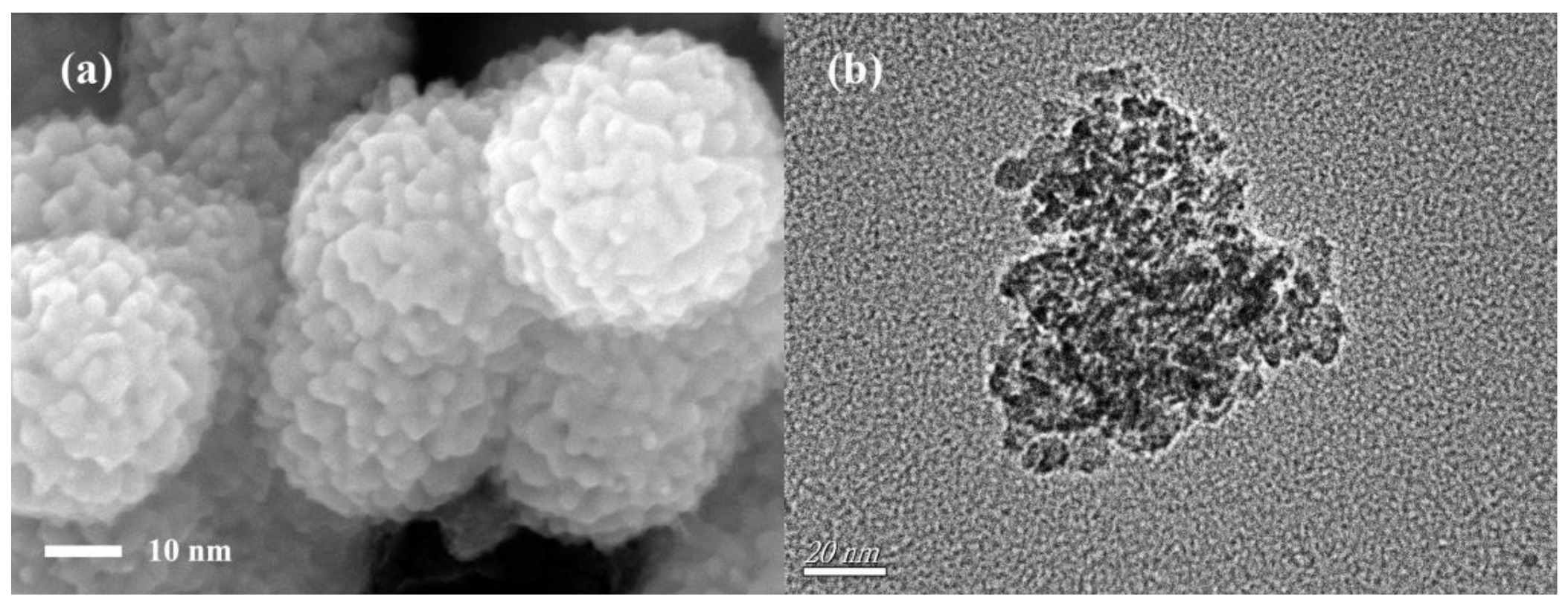 Nanomaterials 11 00834 g001