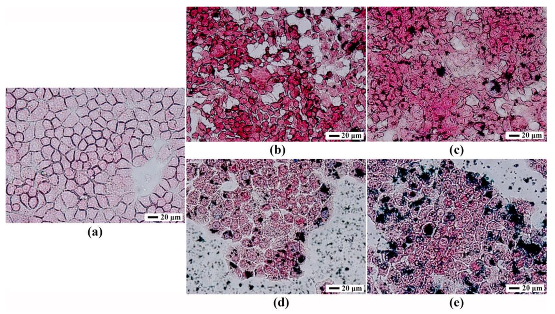 Nanomaterials 11 00834 g004