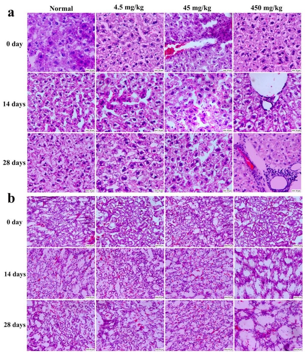 Nanomaterials 11 00834 g010