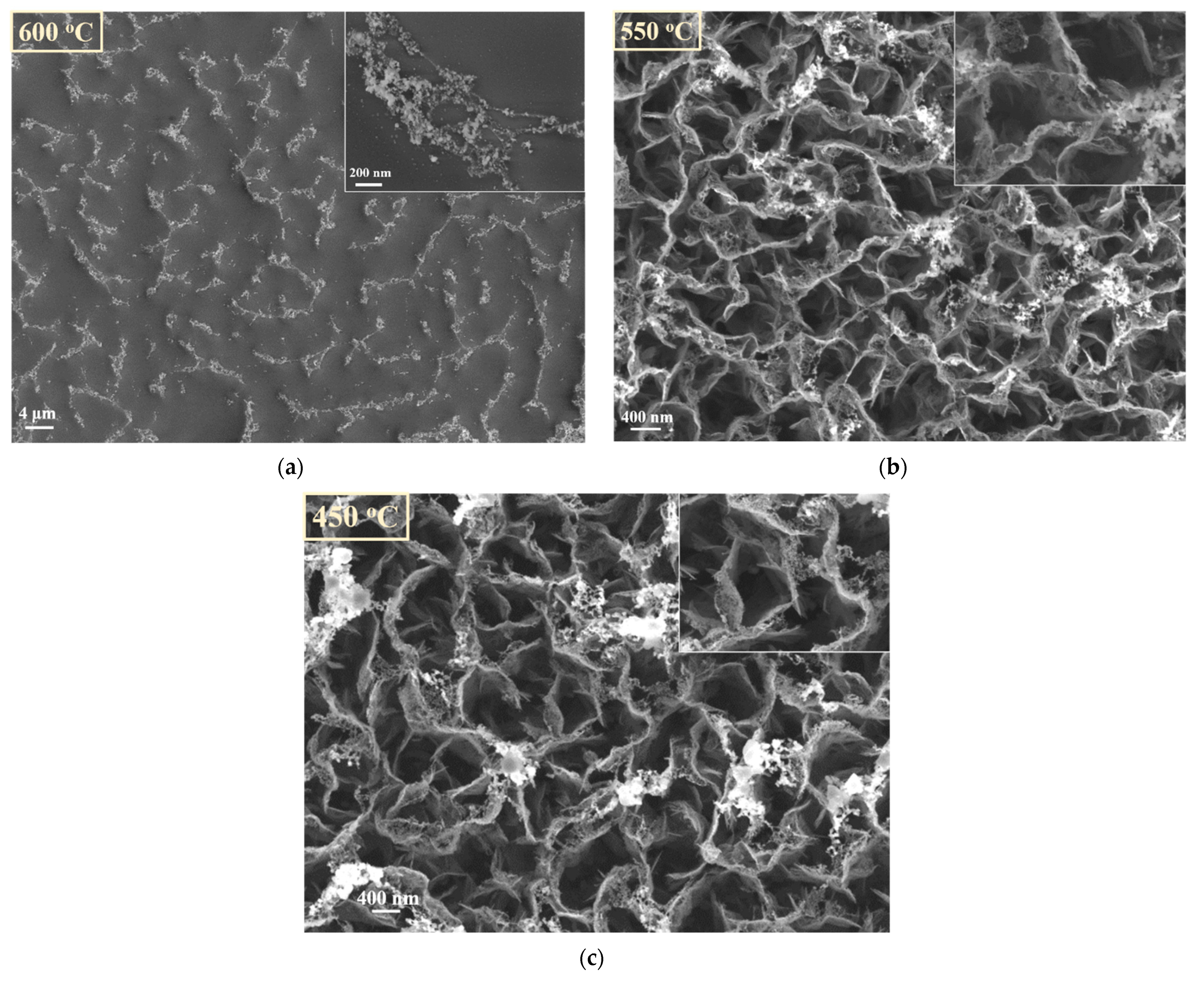 Nanomaterials 11 00835 g012 Nanomaterials 11 00835 g012