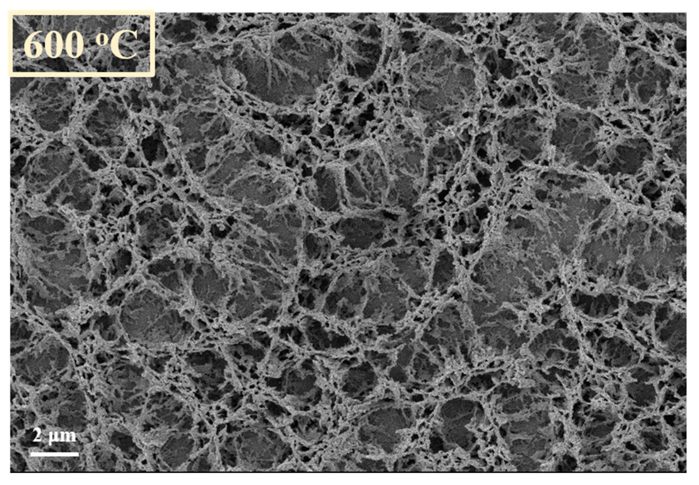 Nanomaterials 11 00835 g013 Nanomaterials 11 00835 g013