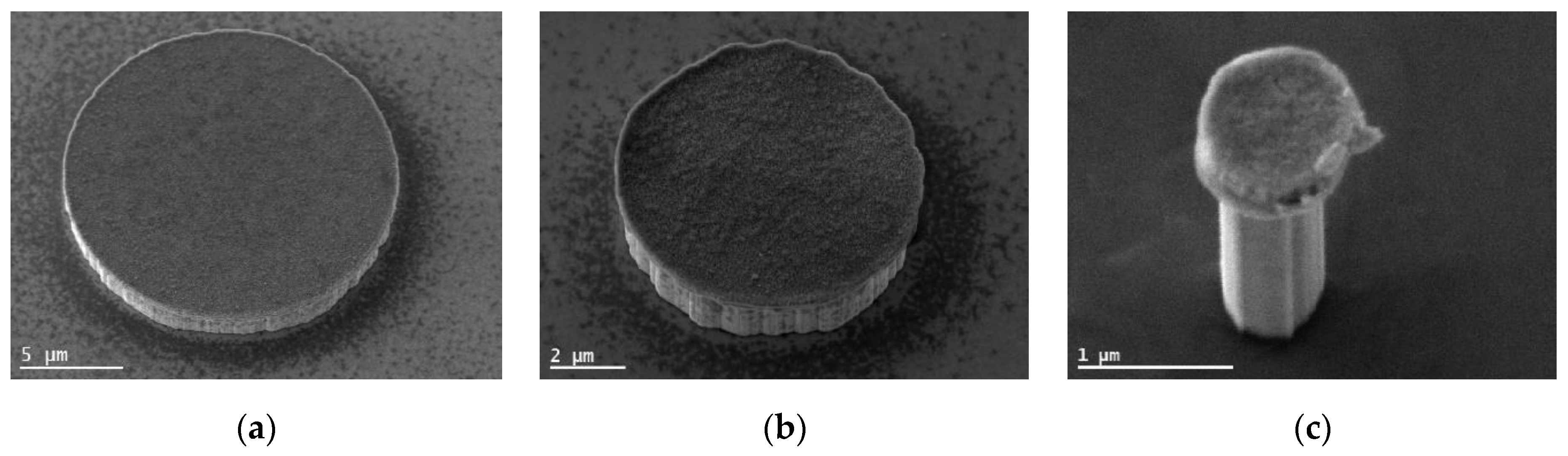 Nanomaterials 11 00836 g001 Nanomaterials 11 00836 g001