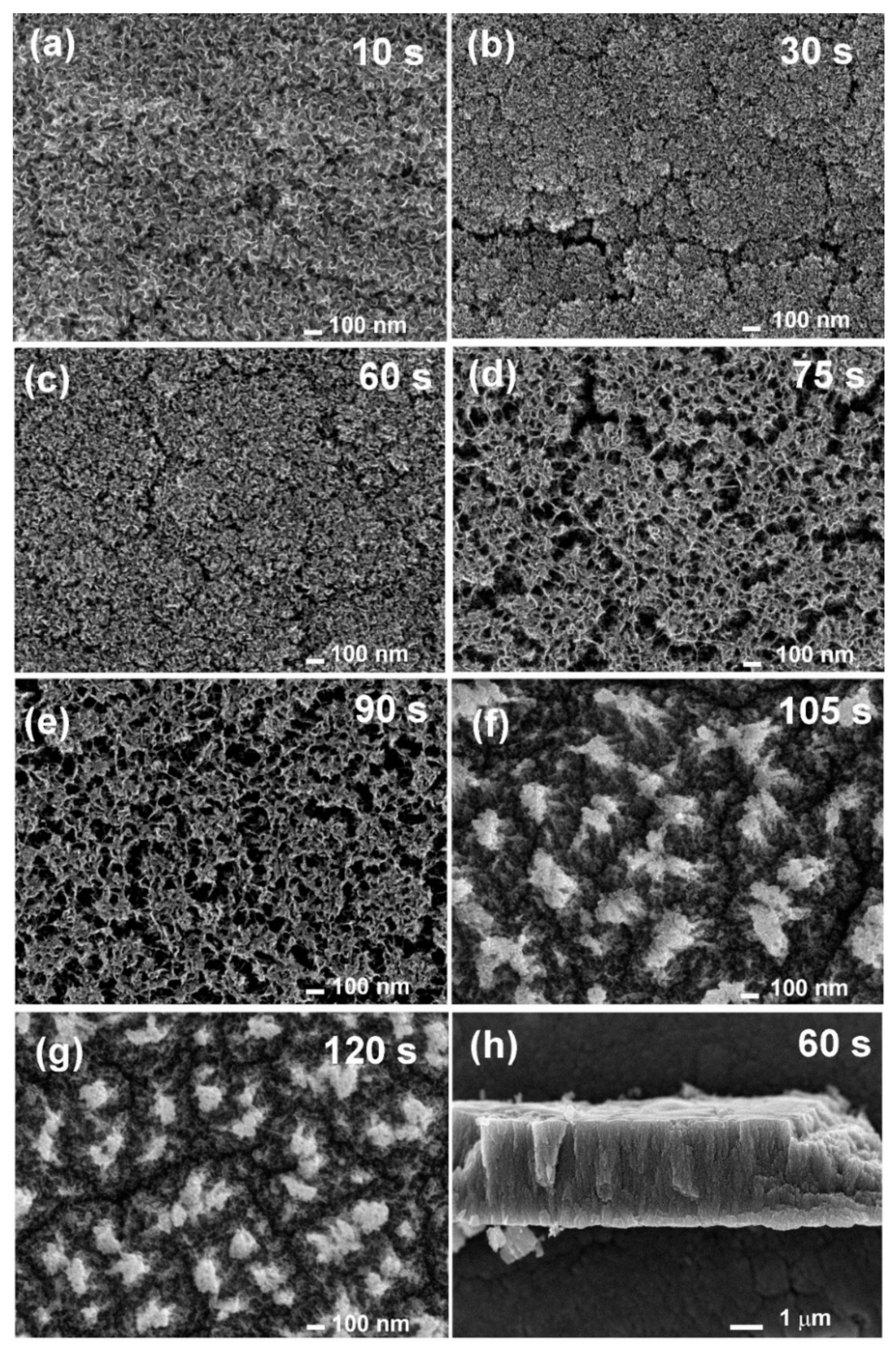 Nanomaterials 11 00837 g003 Nanomaterials 11 00837 g003