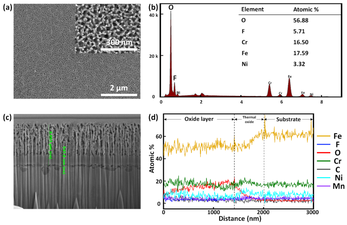 Nanomaterials 11 00838 g005
