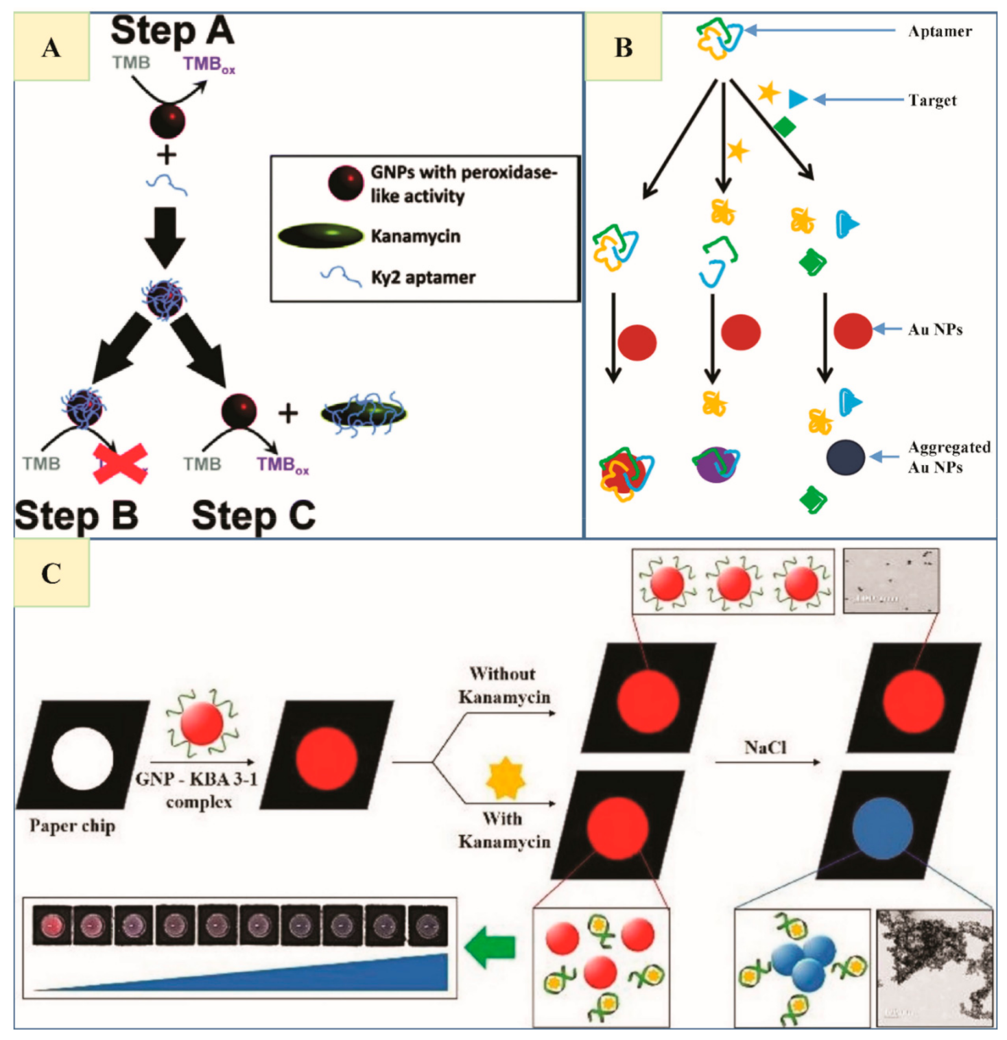 Nanomaterials | Free Full-Text | Advances In Gold Nanoparticles-Based Colorimetric Aptasensors For The Detection Of Antibiotics: An Overview Of The Past Decade | Html