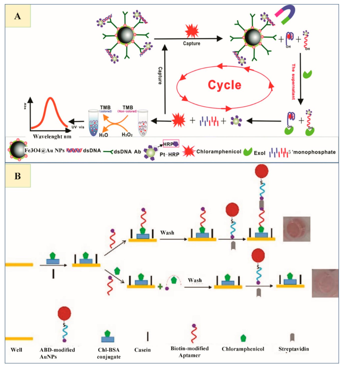Nanomaterials 11 00840 g004
