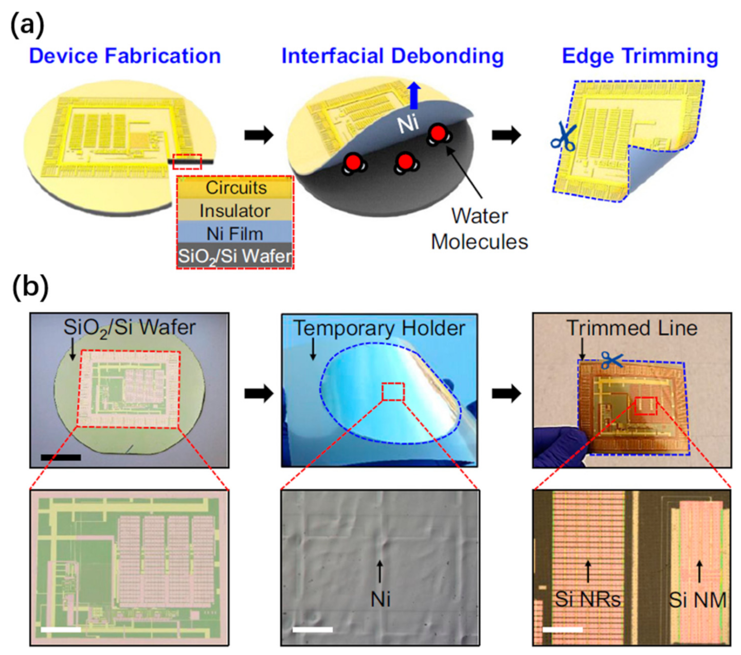 Nanomaterials 11 00842 g013 Nanomaterials 11 00842 g013