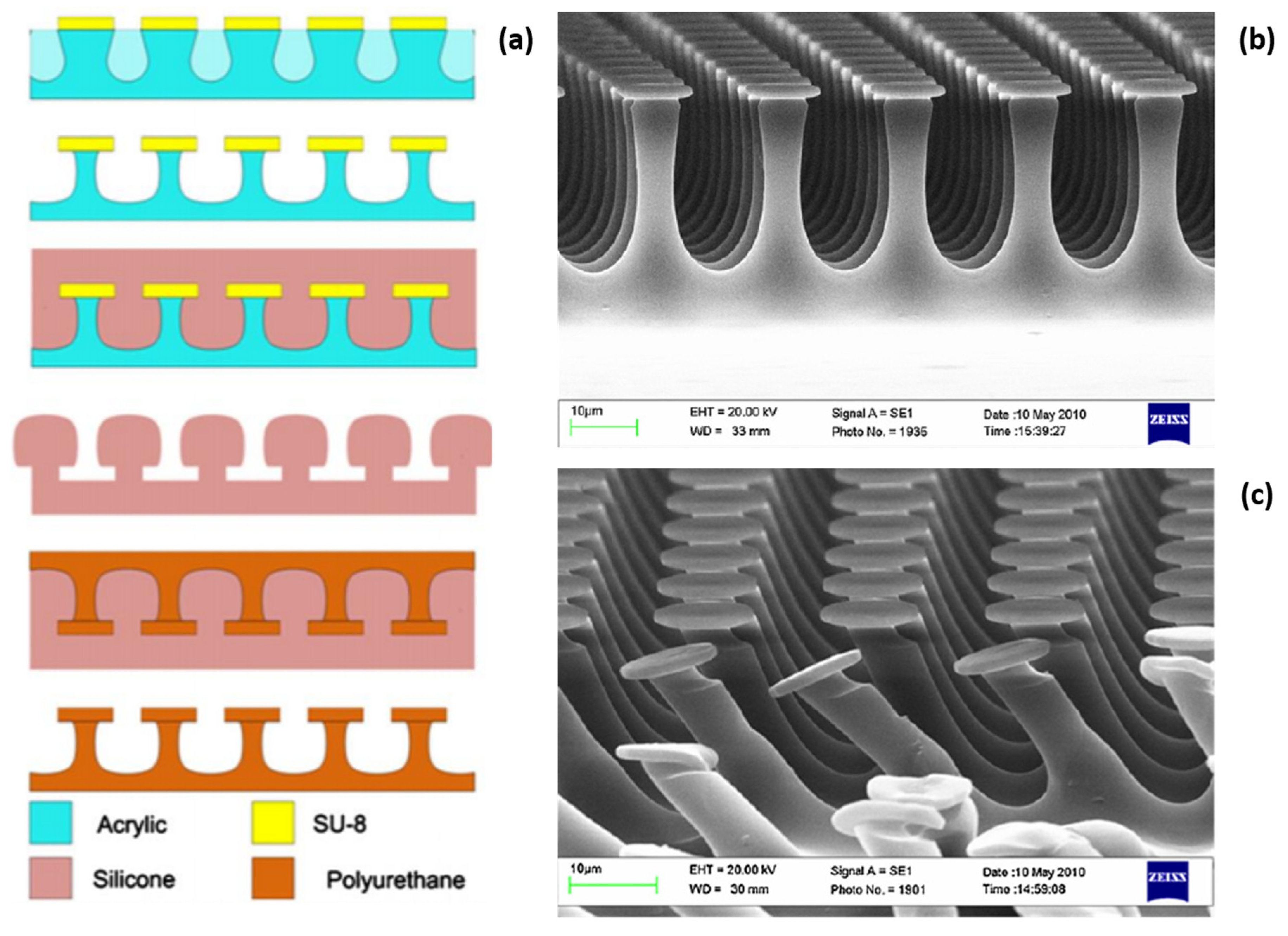 Nanomaterials 11 00842 g021 Nanomaterials 11 00842 g021