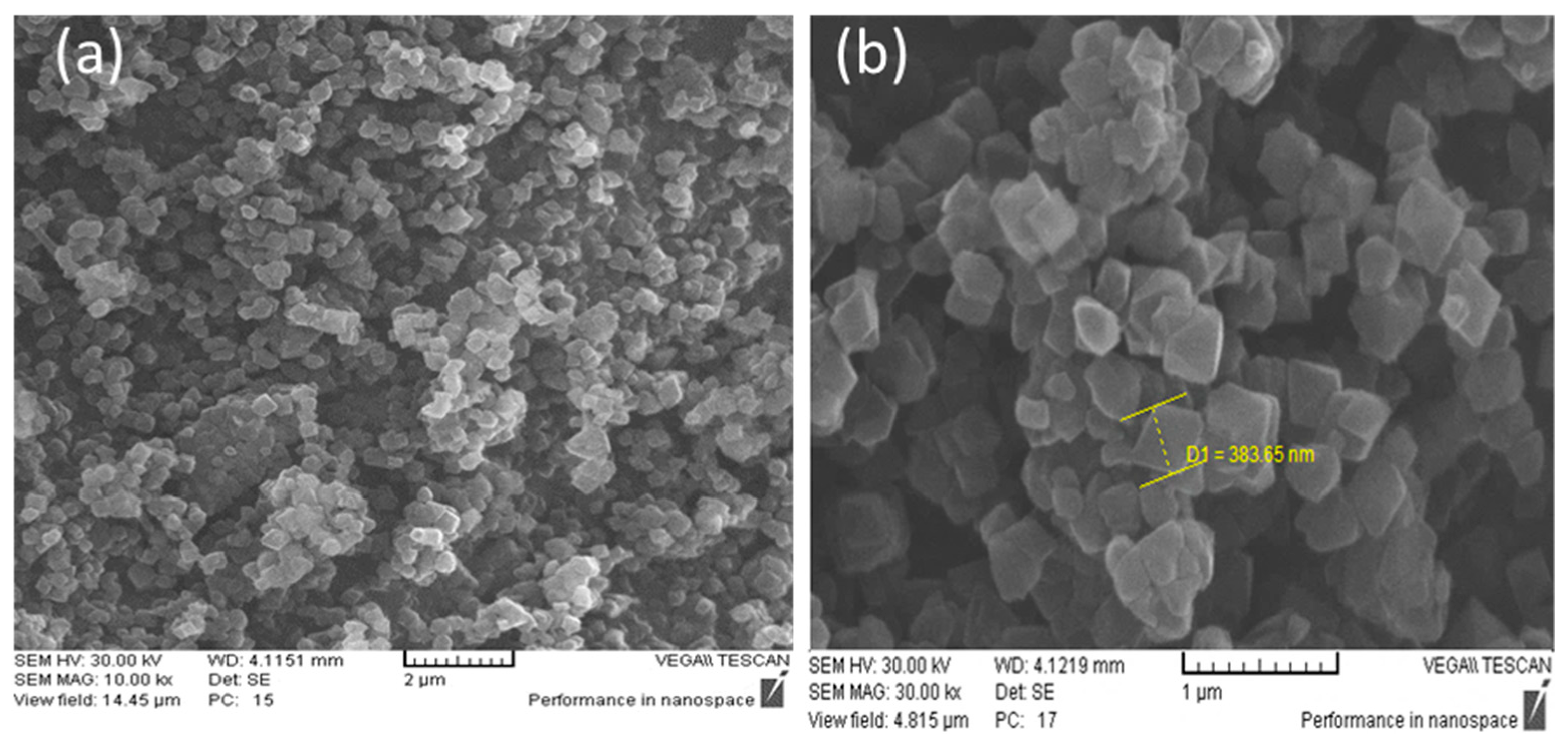 Nanomaterials 11 00845 g002 Nanomaterials 11 00845 g002