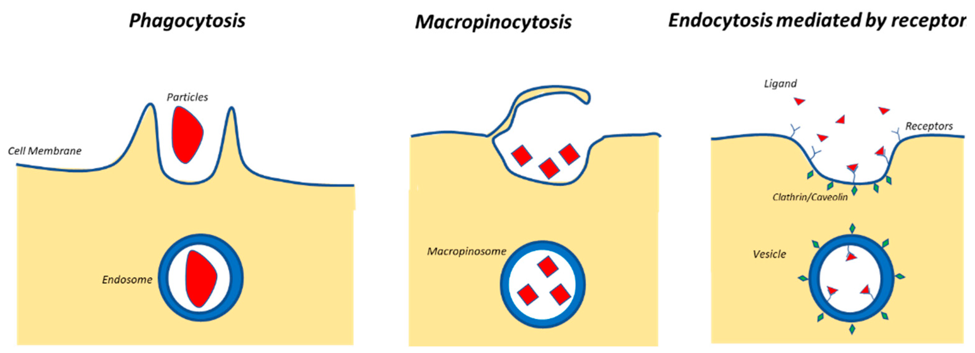 Nanomaterials 11 00848 g001 Nanomaterials 11 00848 g001