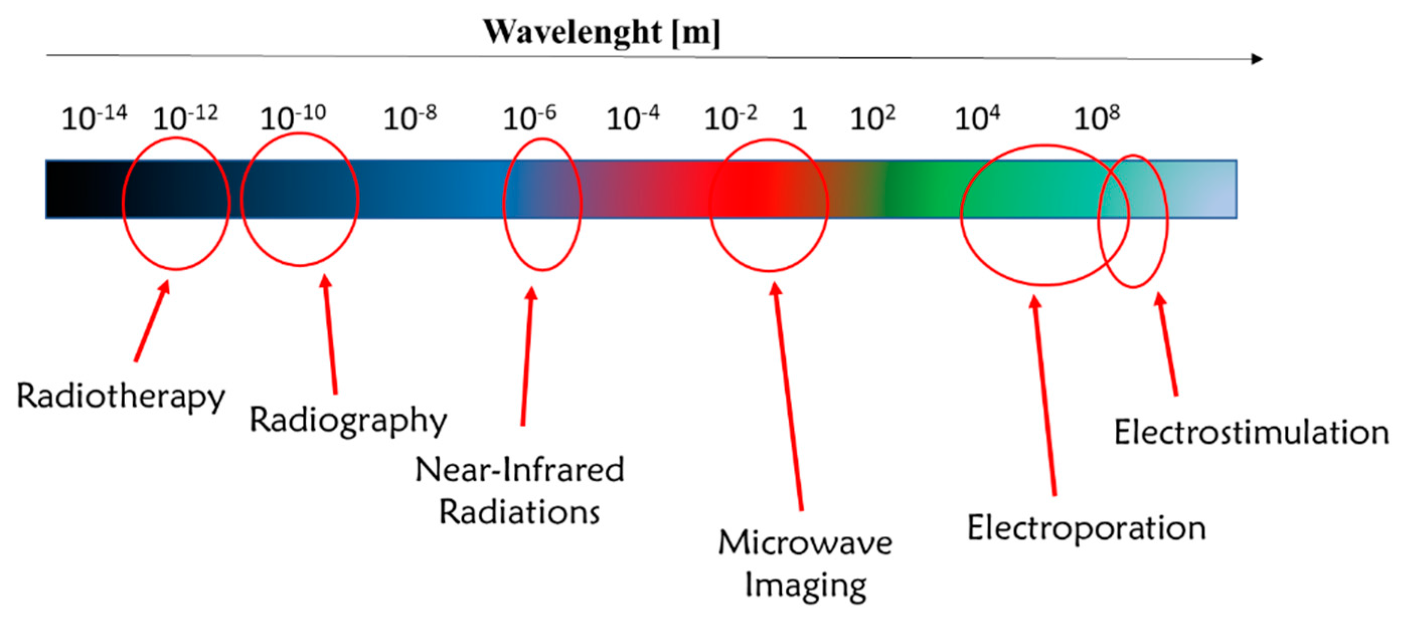 Nanomaterials 11 00848 g004 Nanomaterials 11 00848 g004