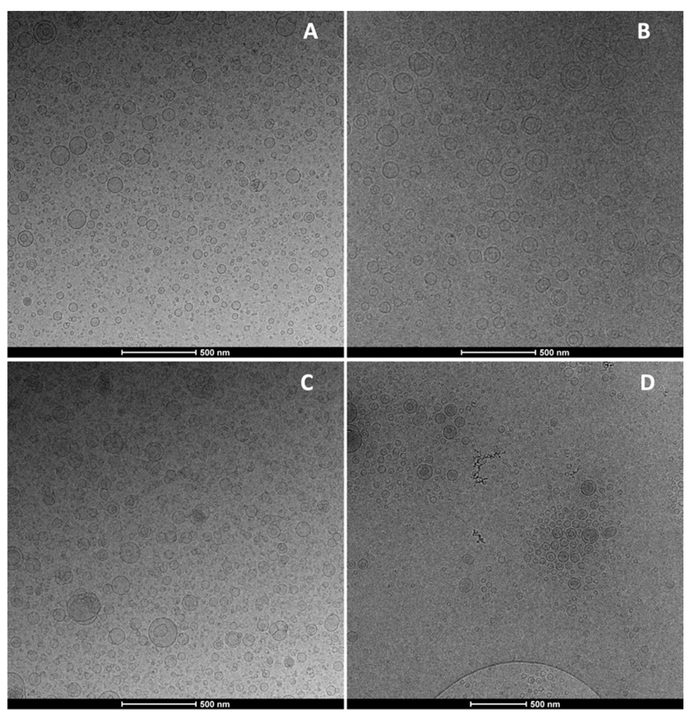 Nanomaterials 11 00850 g001 Nanomaterials 11 00850 g001