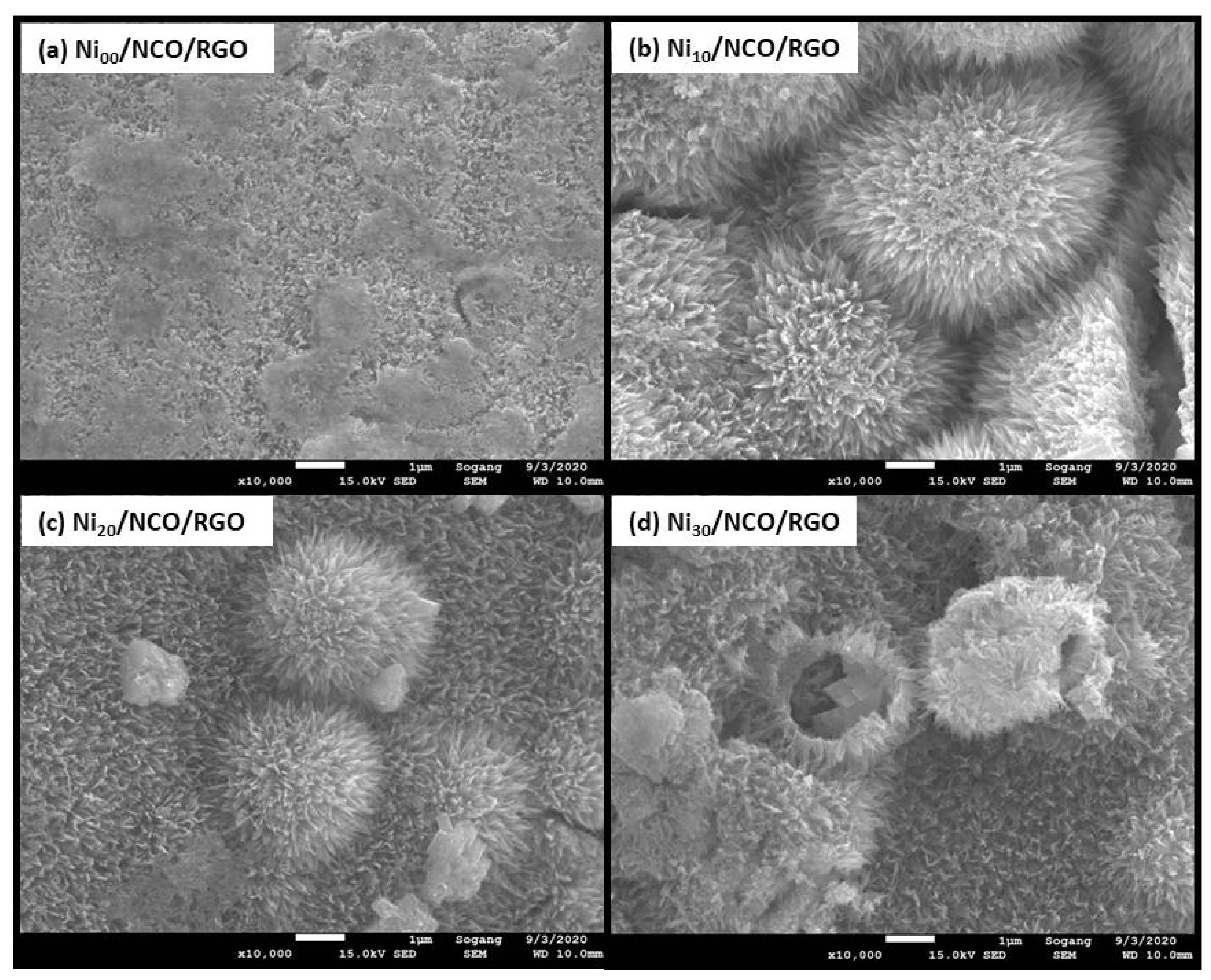 Nanomaterials 11 00852 g003 Nanomaterials 11 00852 g003