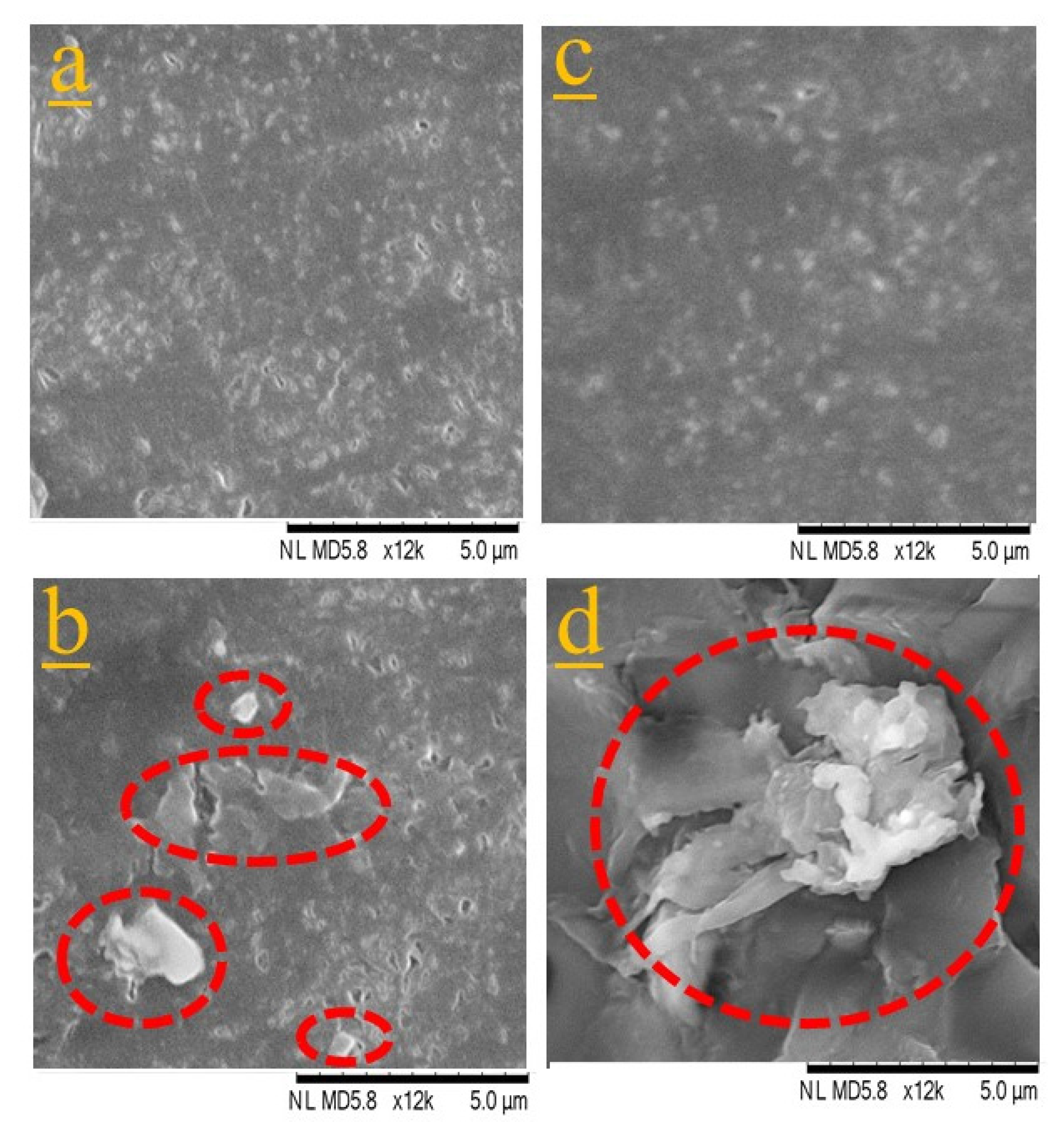 Nanomaterials 11 00857 g001 Nanomaterials 11 00857 g001