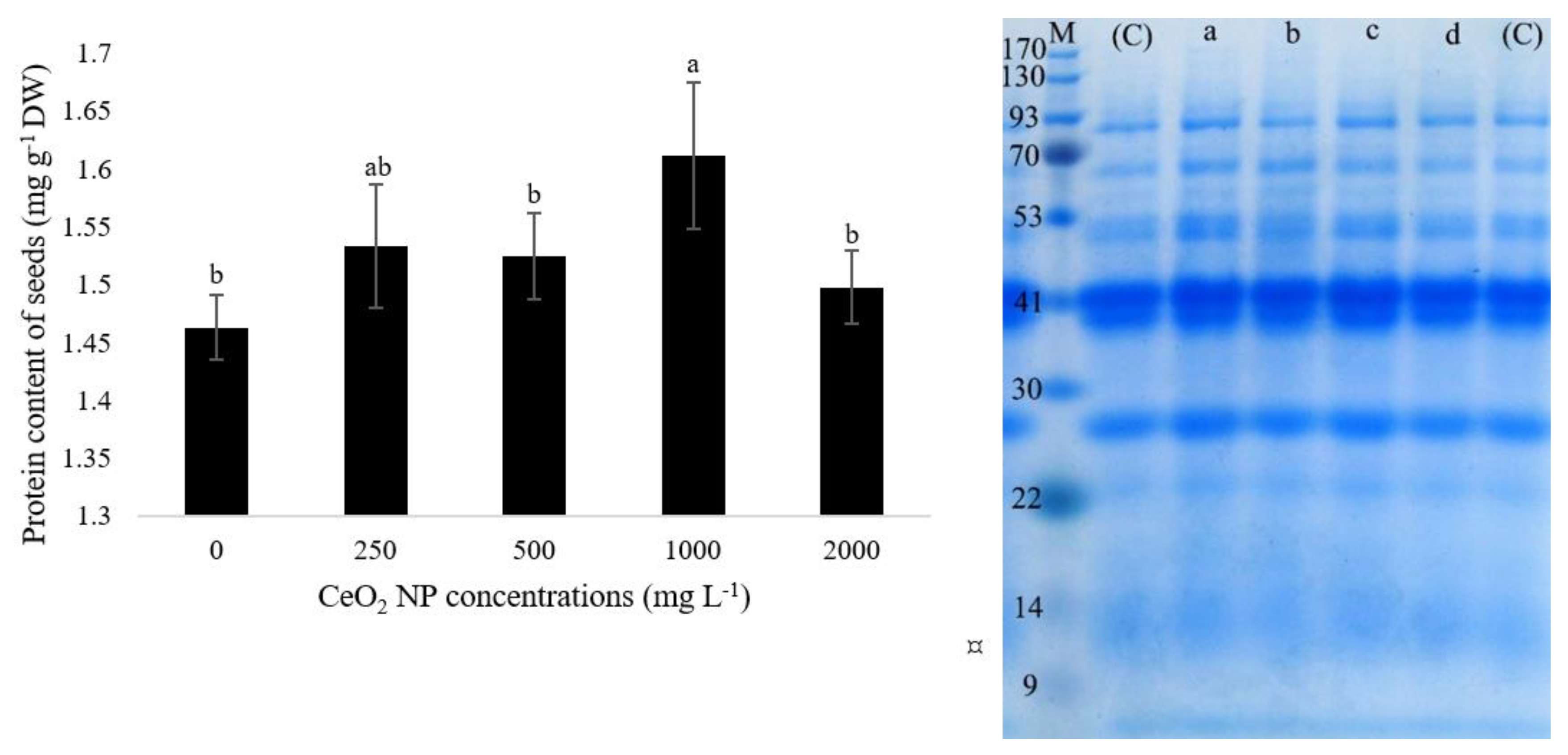 Nanomaterials 11 00862 g006 Nanomaterials 11 00862 g006