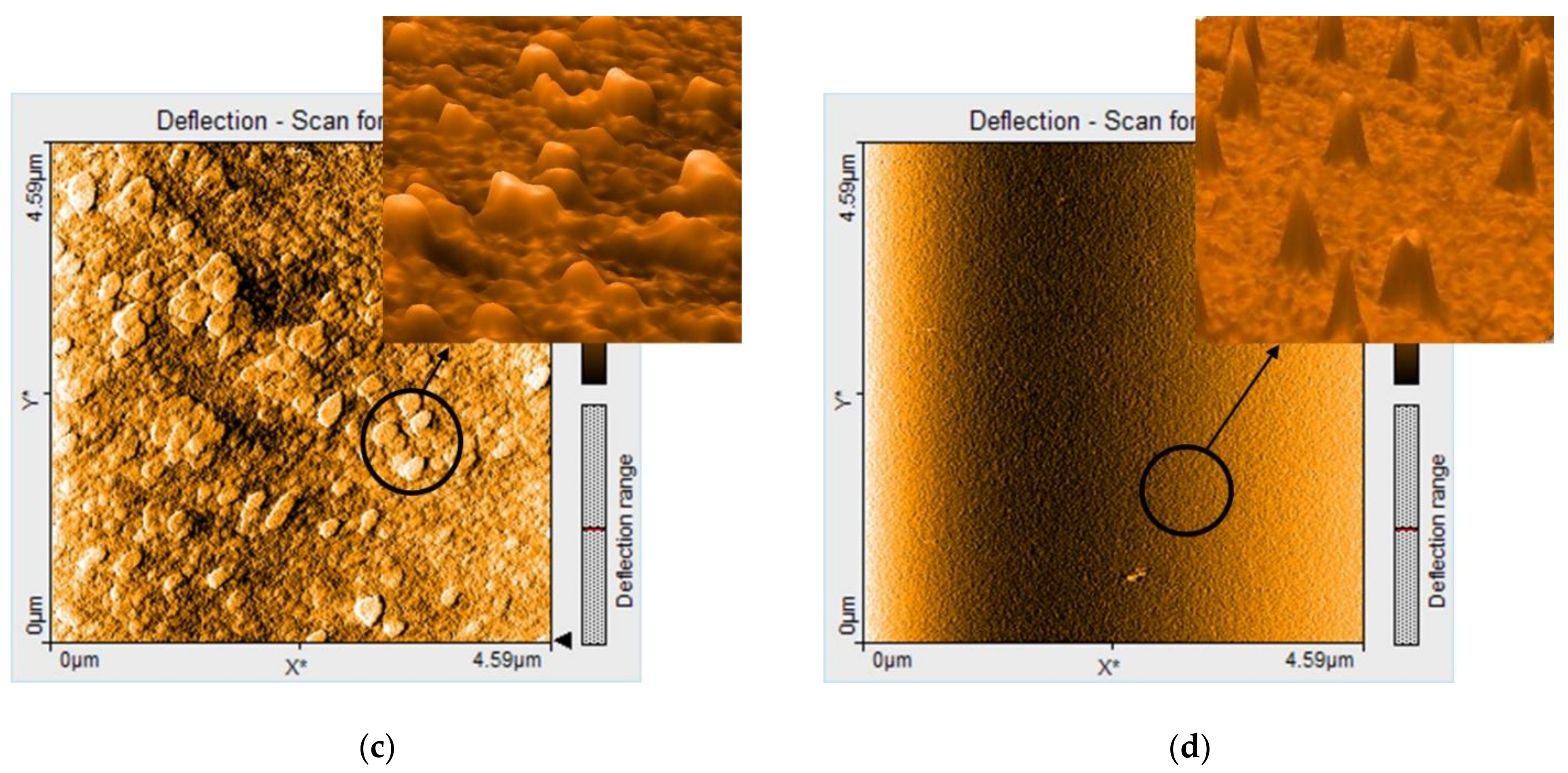 Nanomaterials 11 00863 g004b Nanomaterials 11 00863 g004b
