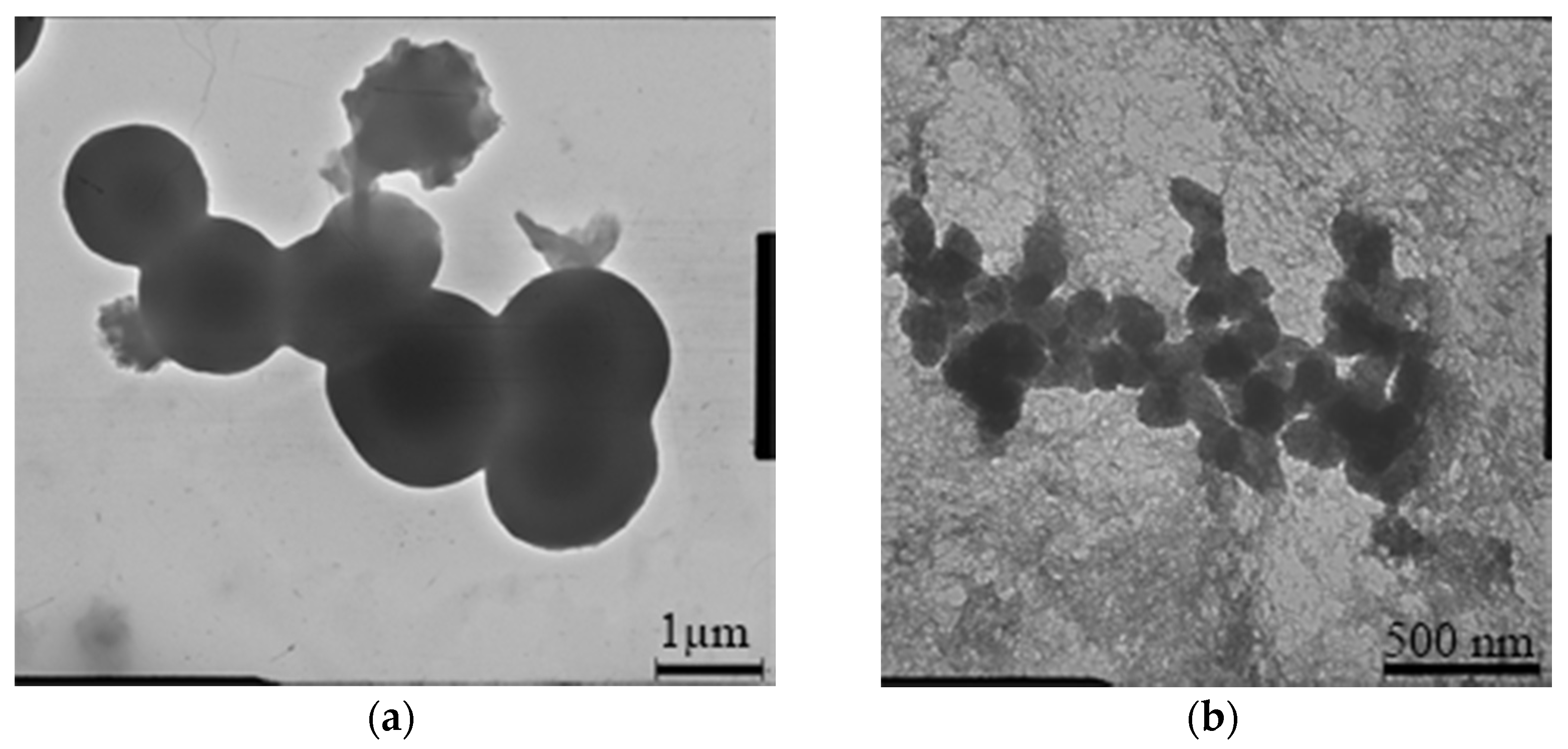 Nanomaterials 11 00866 g016 Nanomaterials 11 00866 g016