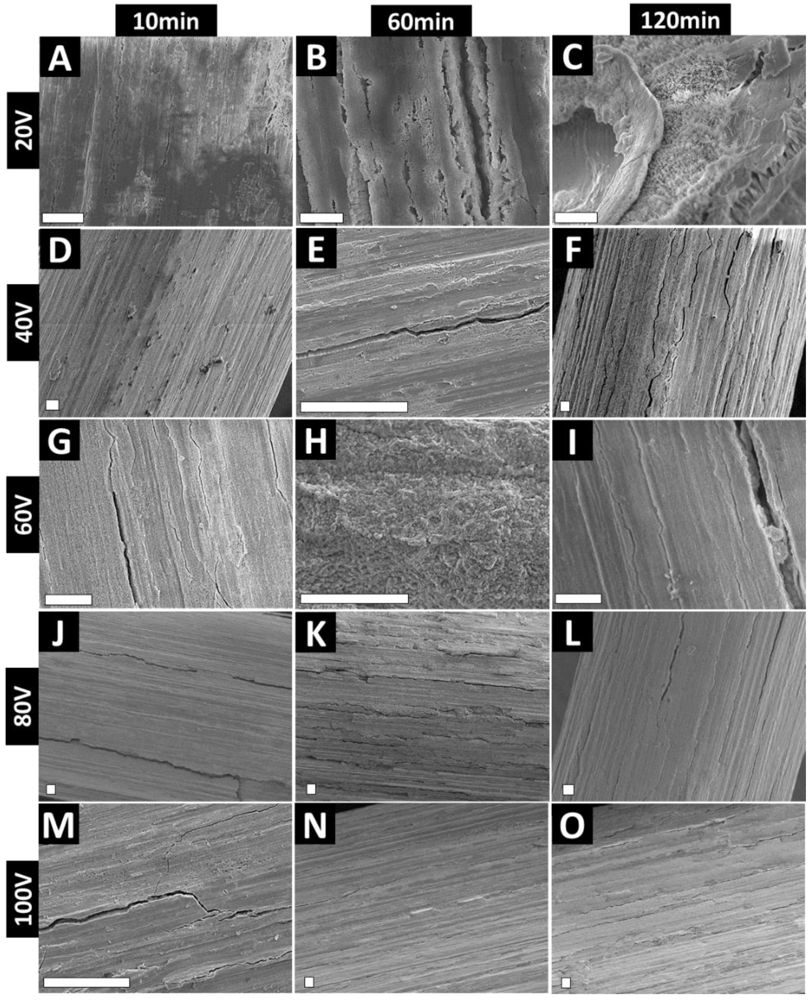 Nanomaterials Free Full Text Towards Clinical Translation Optimized Fabrication Of Controlled Nanostructures On Implant Relevant Curved Zirconium Surfaces Html