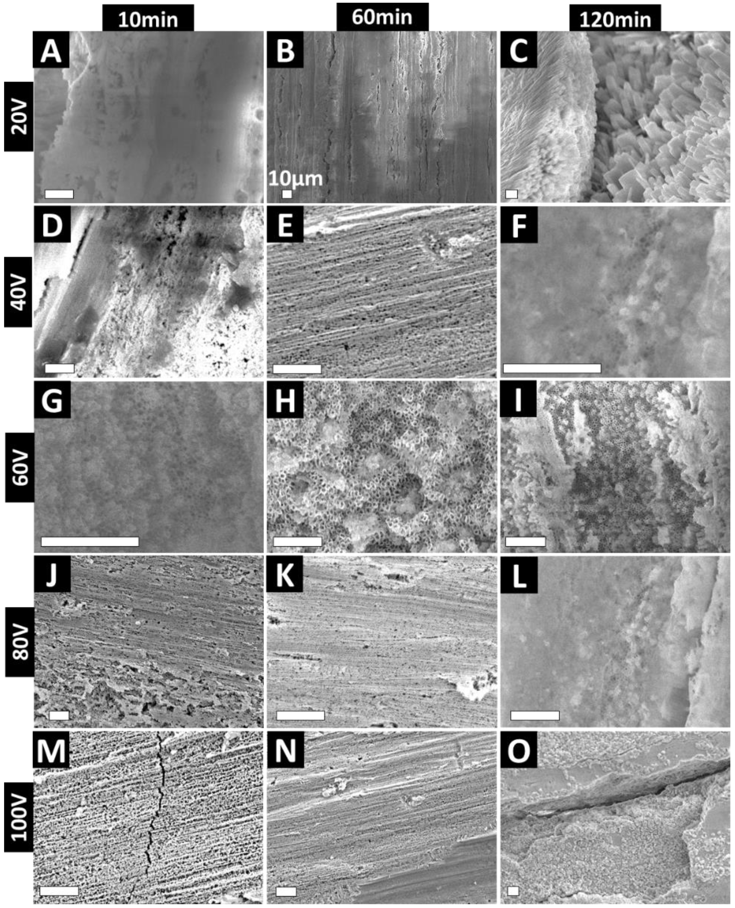 Nanomaterials Free Full Text Towards Clinical Translation Optimized Fabrication Of Controlled Nanostructures On Implant Relevant Curved Zirconium Surfaces Html