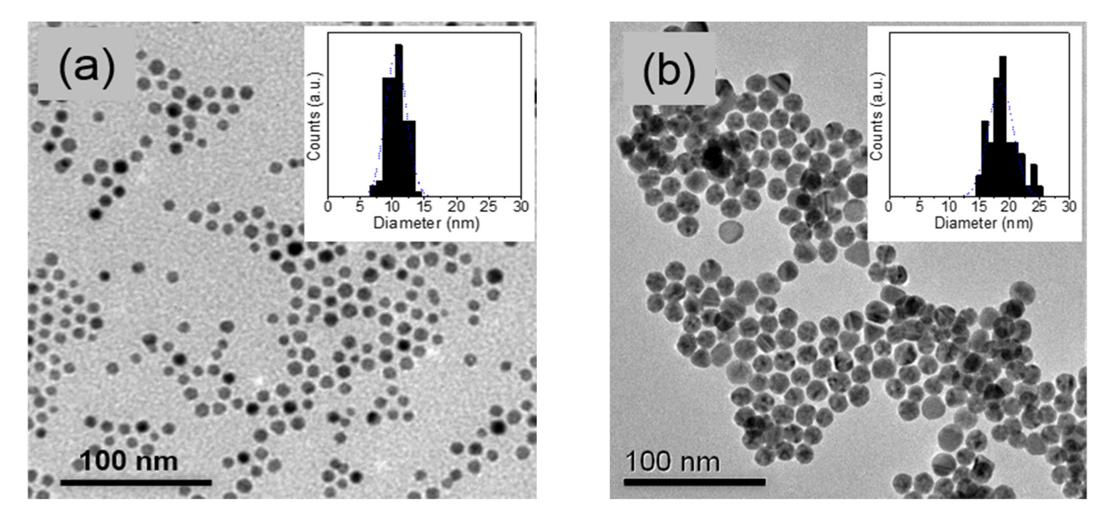 Nanomaterials 11 00870 g001 Nanomaterials 11 00870 g001