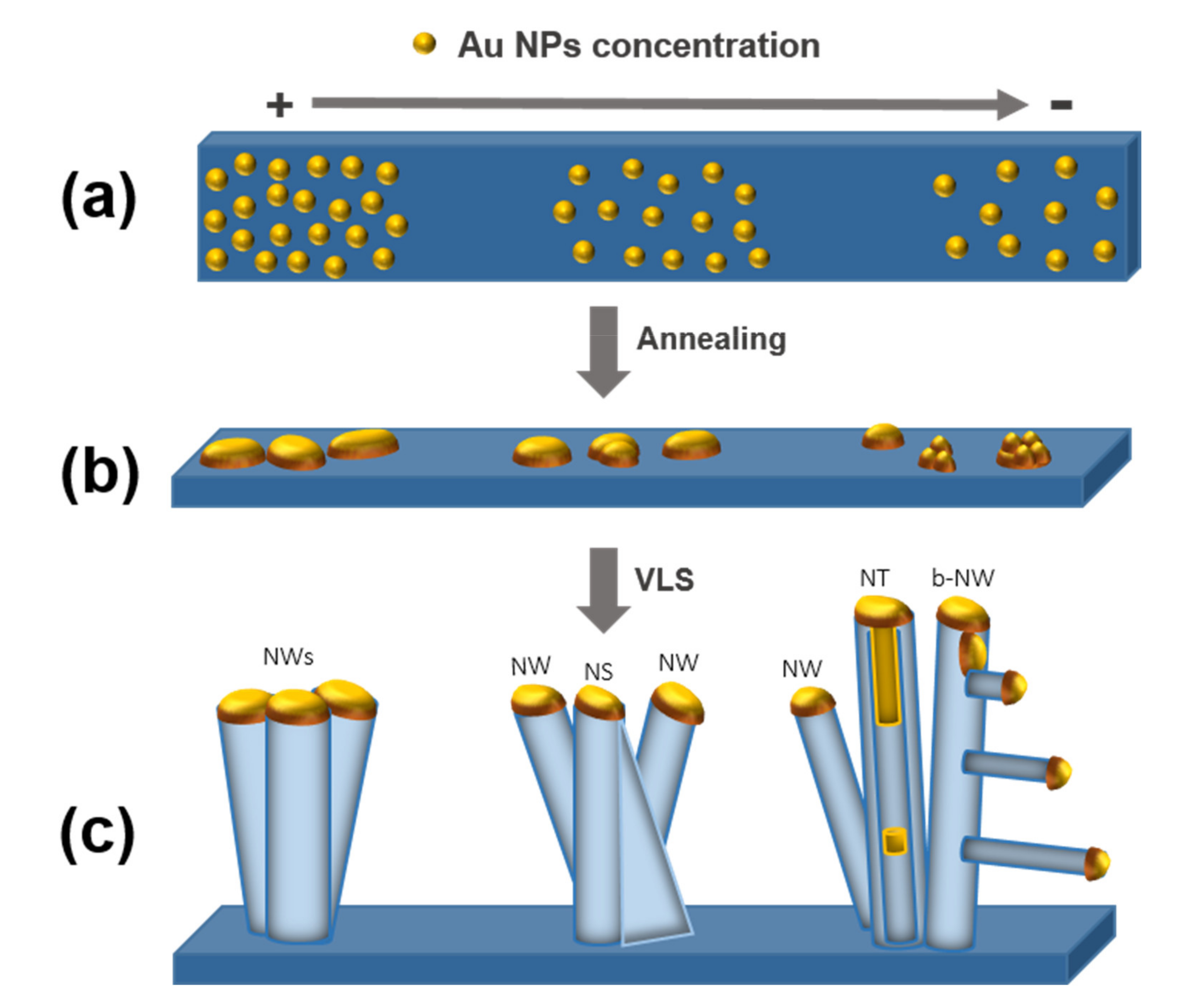 Nanomaterials 11 00870 g011 Nanomaterials 11 00870 g011