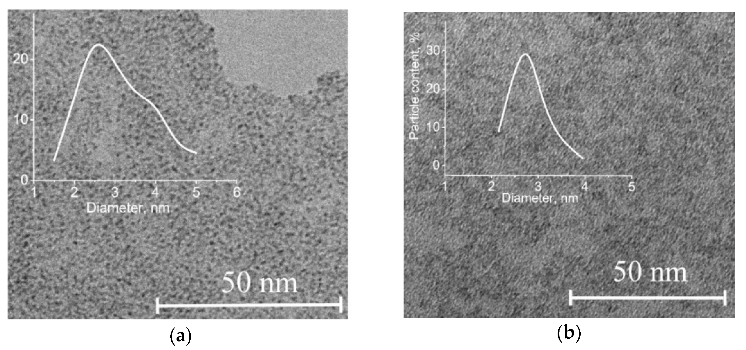 Nanomaterials 11 00873 g001