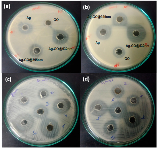 Fabrication of Silver-Decorated Graphene Oxide Nanohybrids via