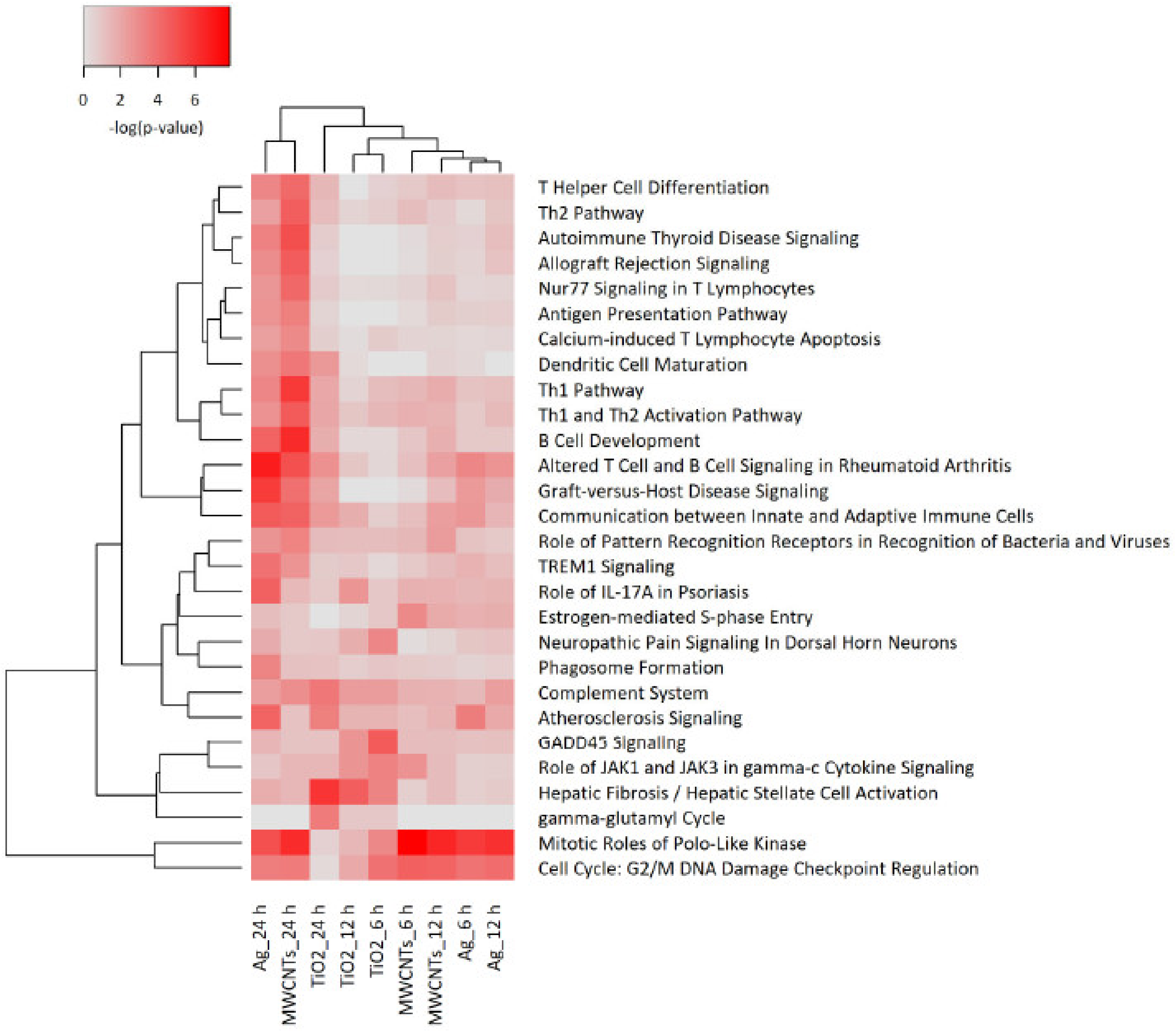 Nanomaterials 11 00883 g003