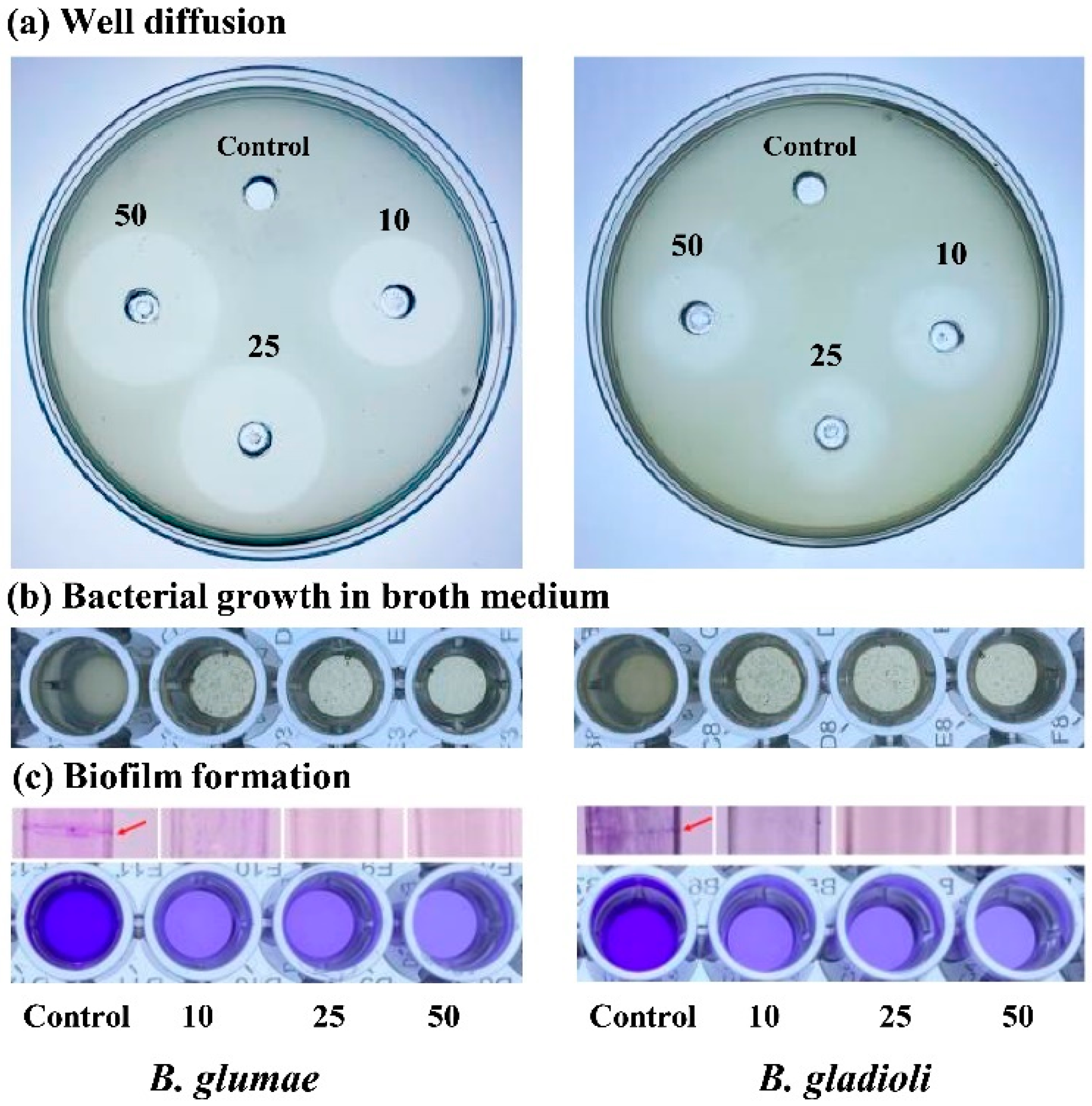 Nanomaterials 11 00884 g005 Nanomaterials 11 00884 g005