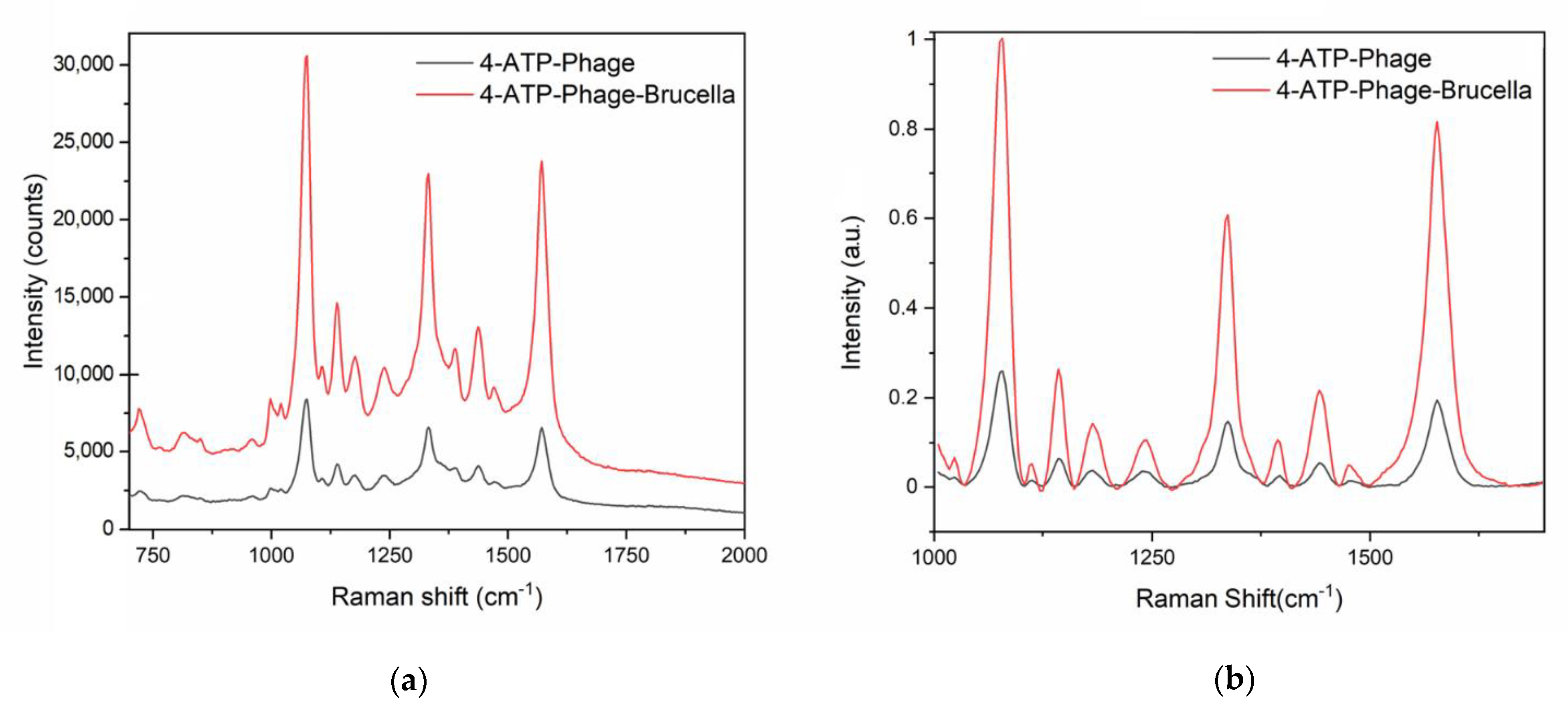 Nanomaterials 11 00886 g005 Nanomaterials 11 00886 g005