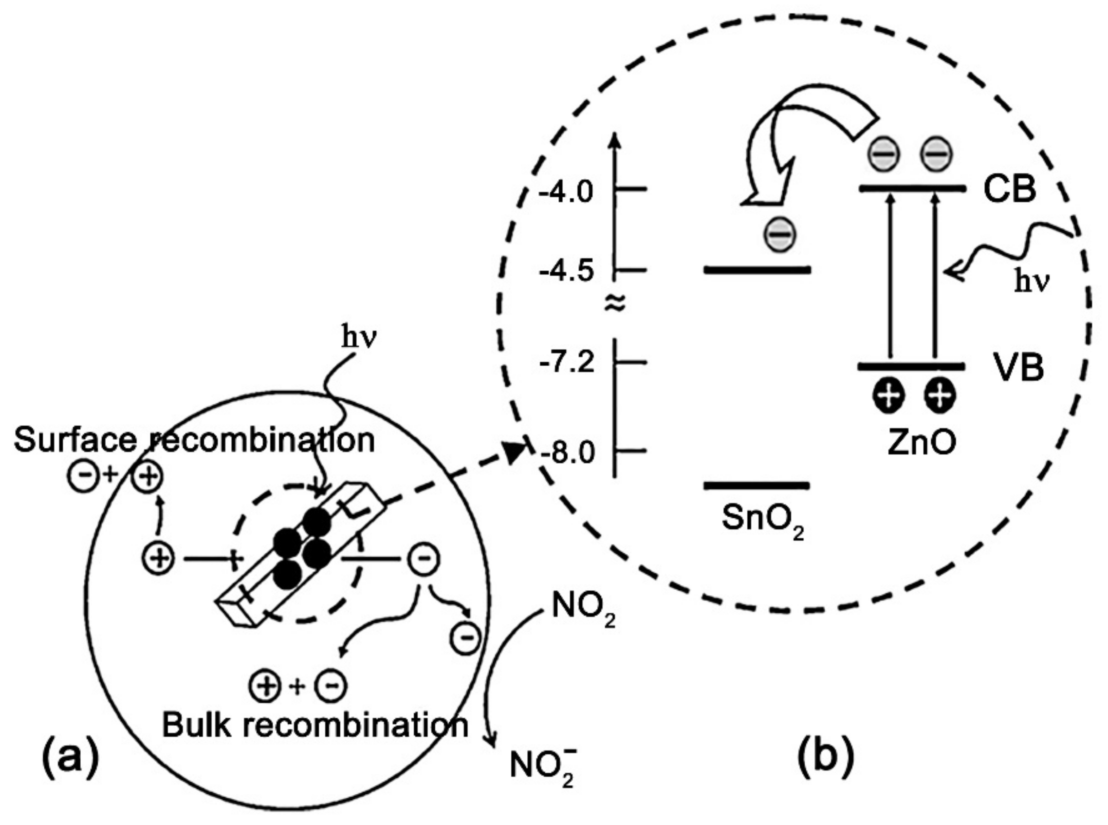 Nanomaterials 11 00892 g004